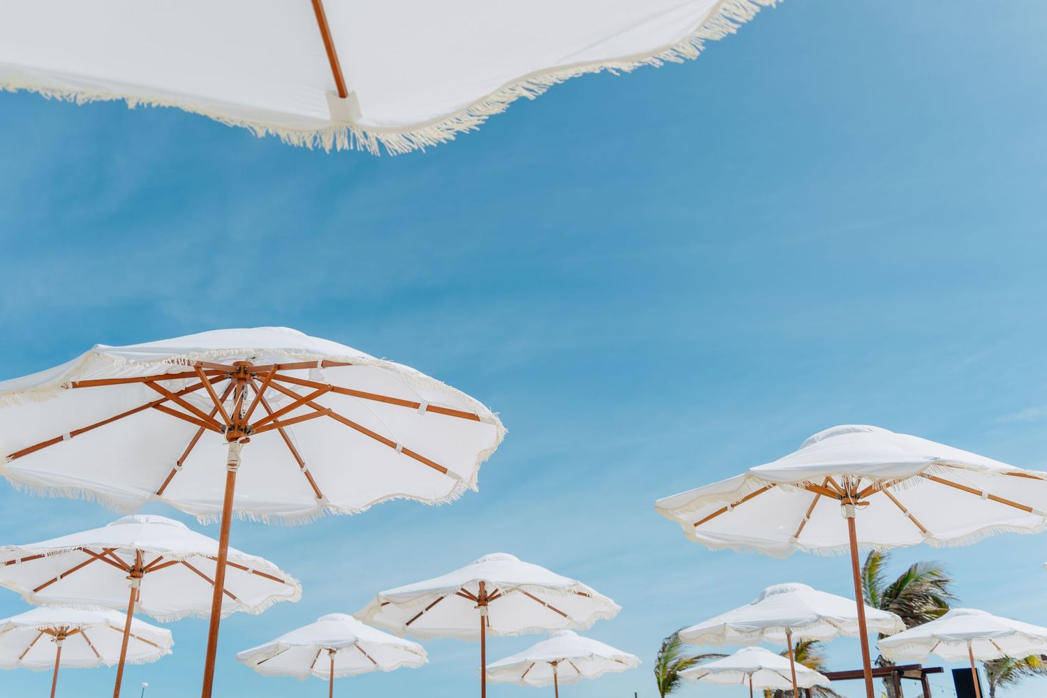 White beach umbrellas against a bright blue summer sky create a serene coastal scene.