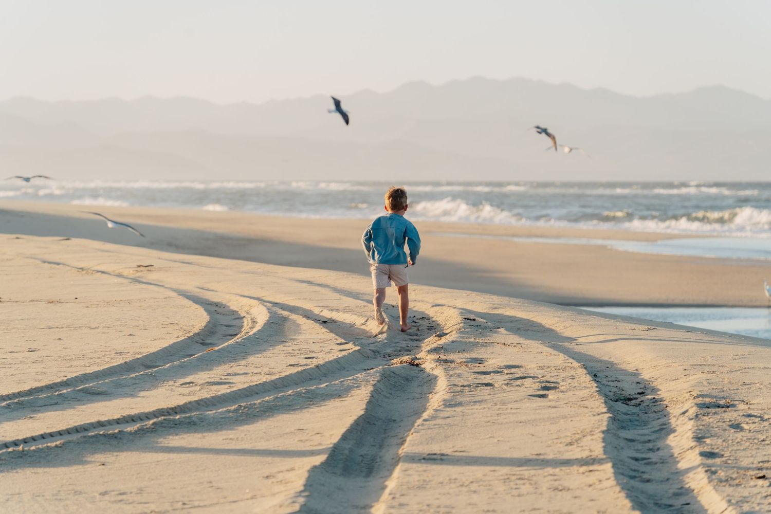 Person walking alone on beach at sunset with tire tracks in sand and seabirds flying overhead.