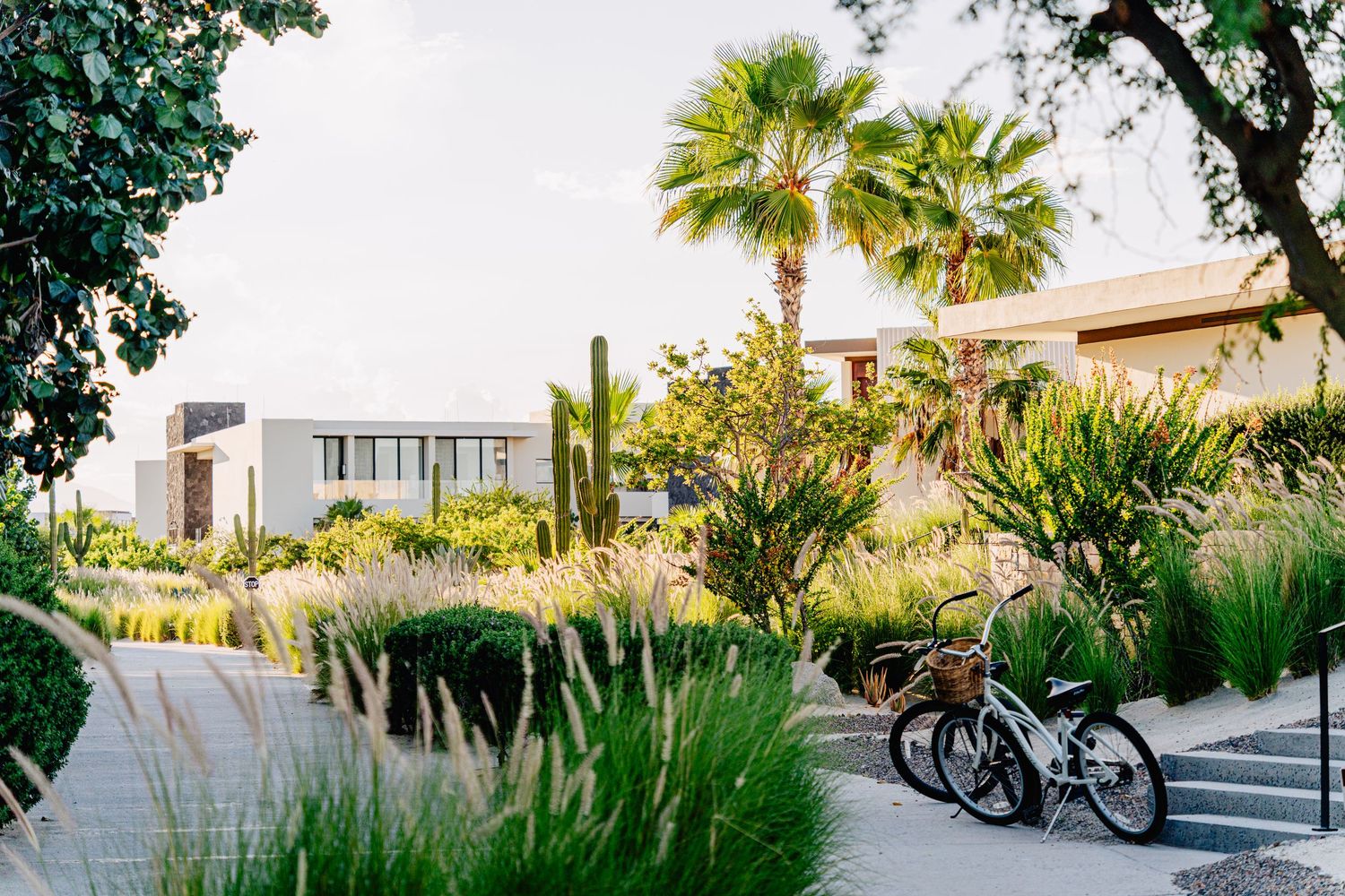 Panoramic collage of a modern beachfront property with tropical landscaping and palm trees at sunset.