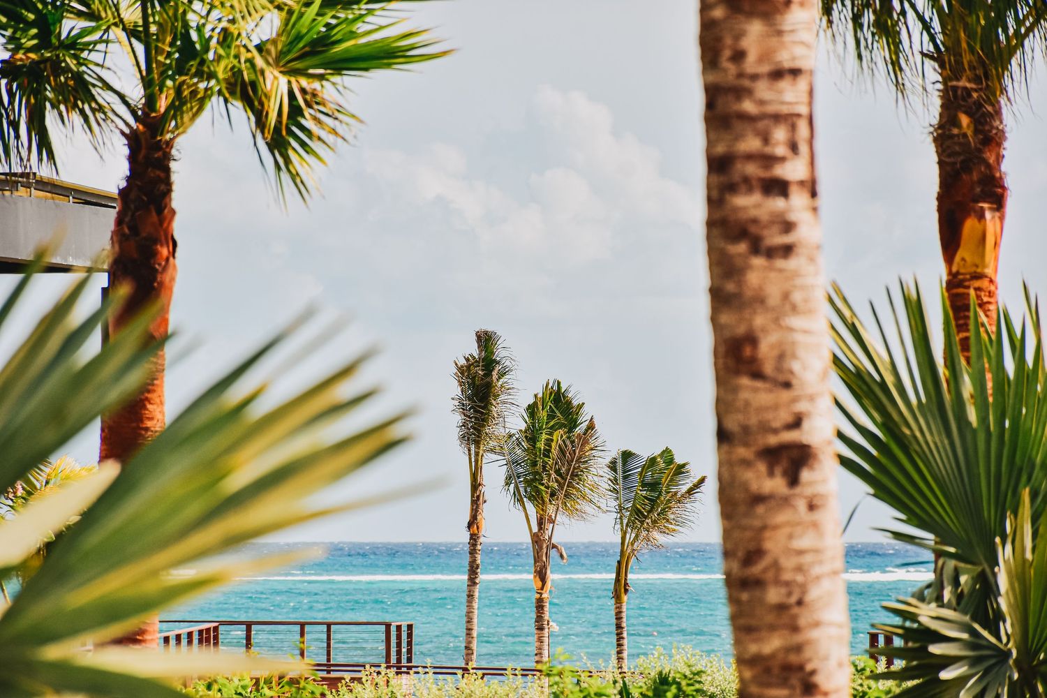 Tropical palm trees frame a view of turquoise ocean waters and a wooden pier under bright blue skies.