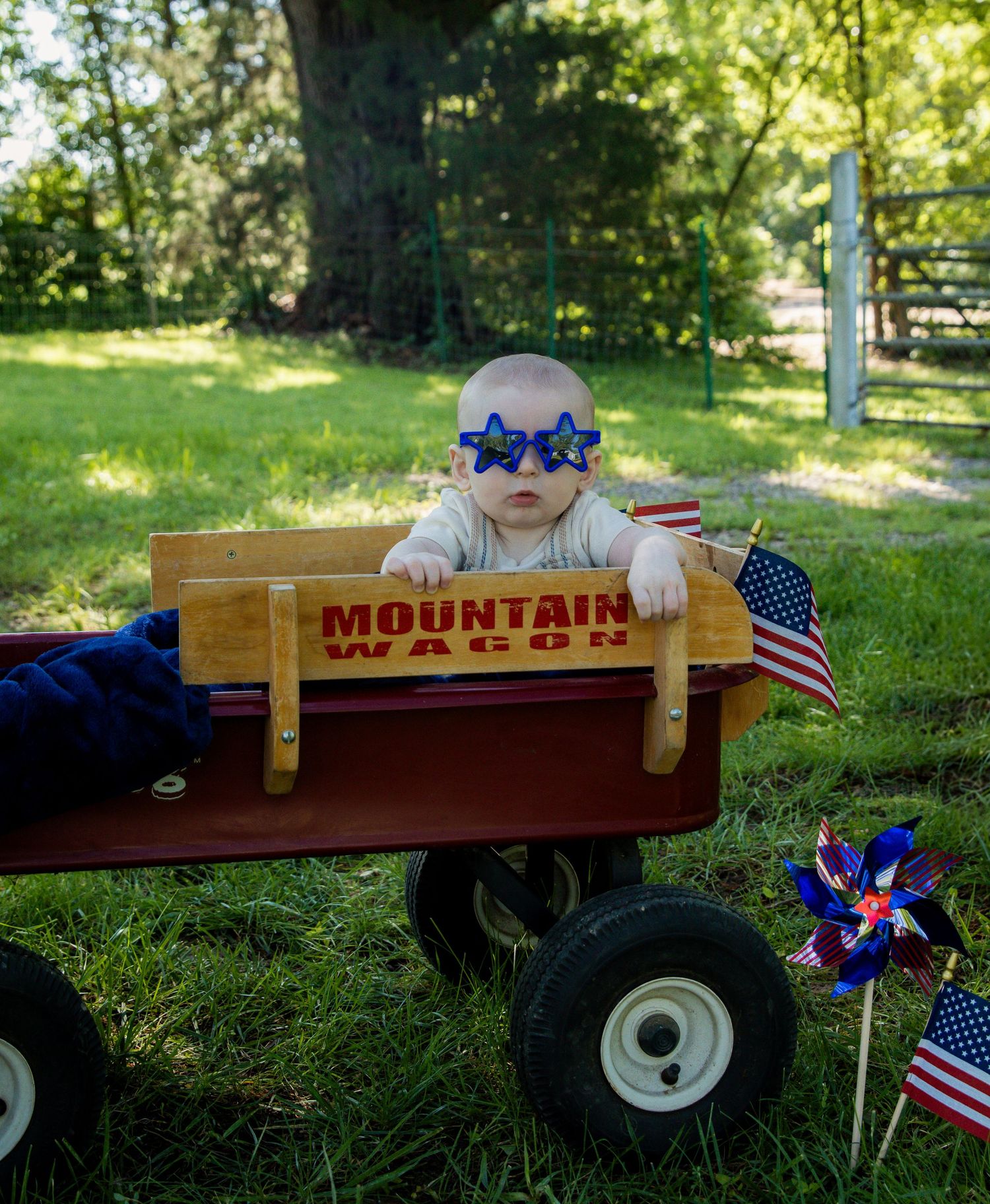Mini Session 4th of July