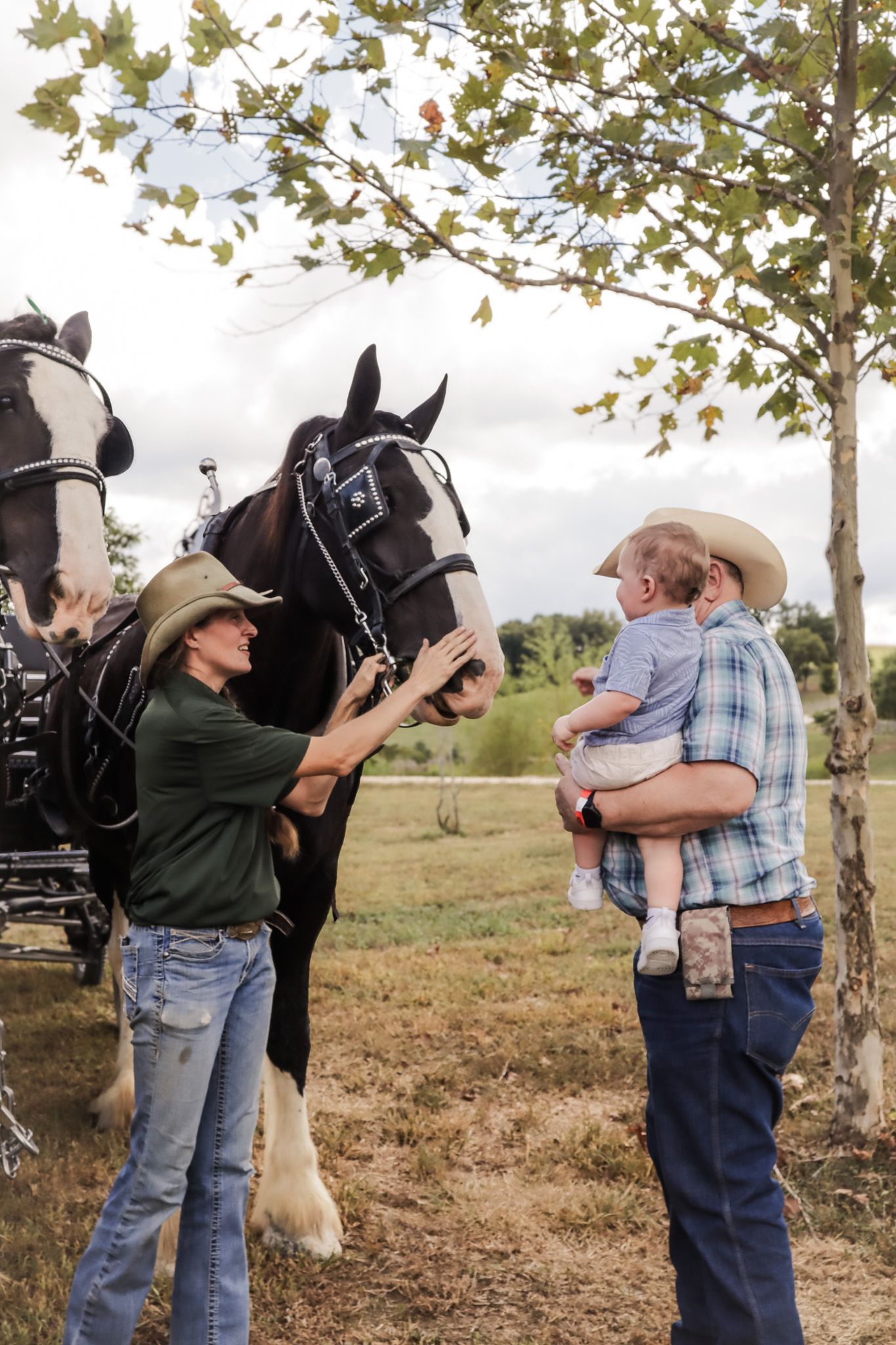 Hermann Farm Heritage Festival
