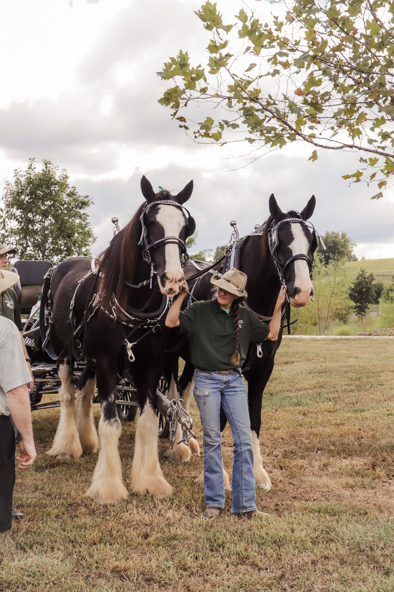 Hermann Farm Heritage Festival