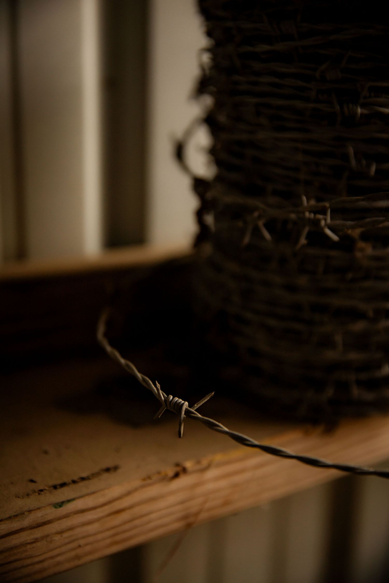 Barb Wire