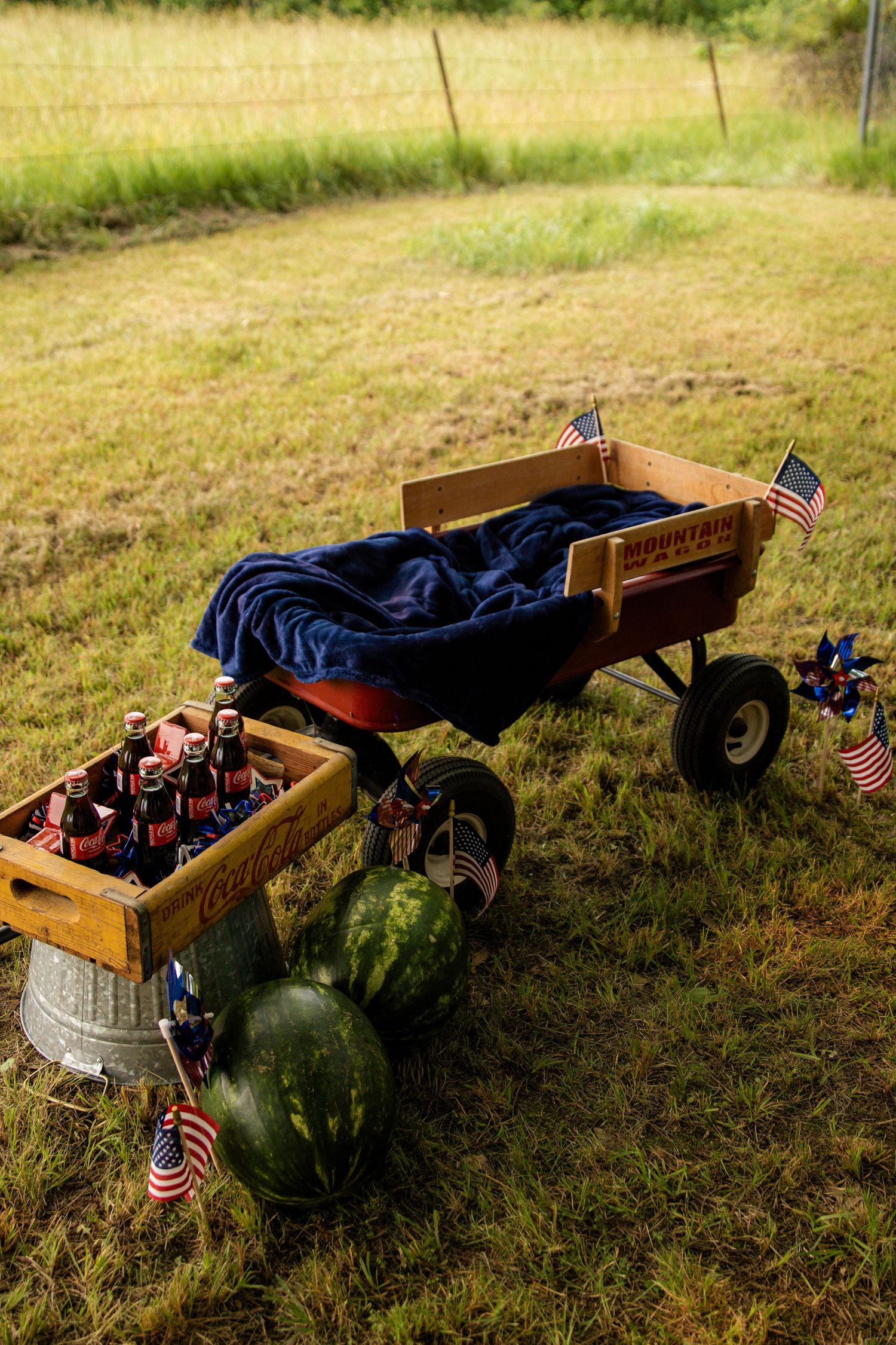 Mini Session 4th of July