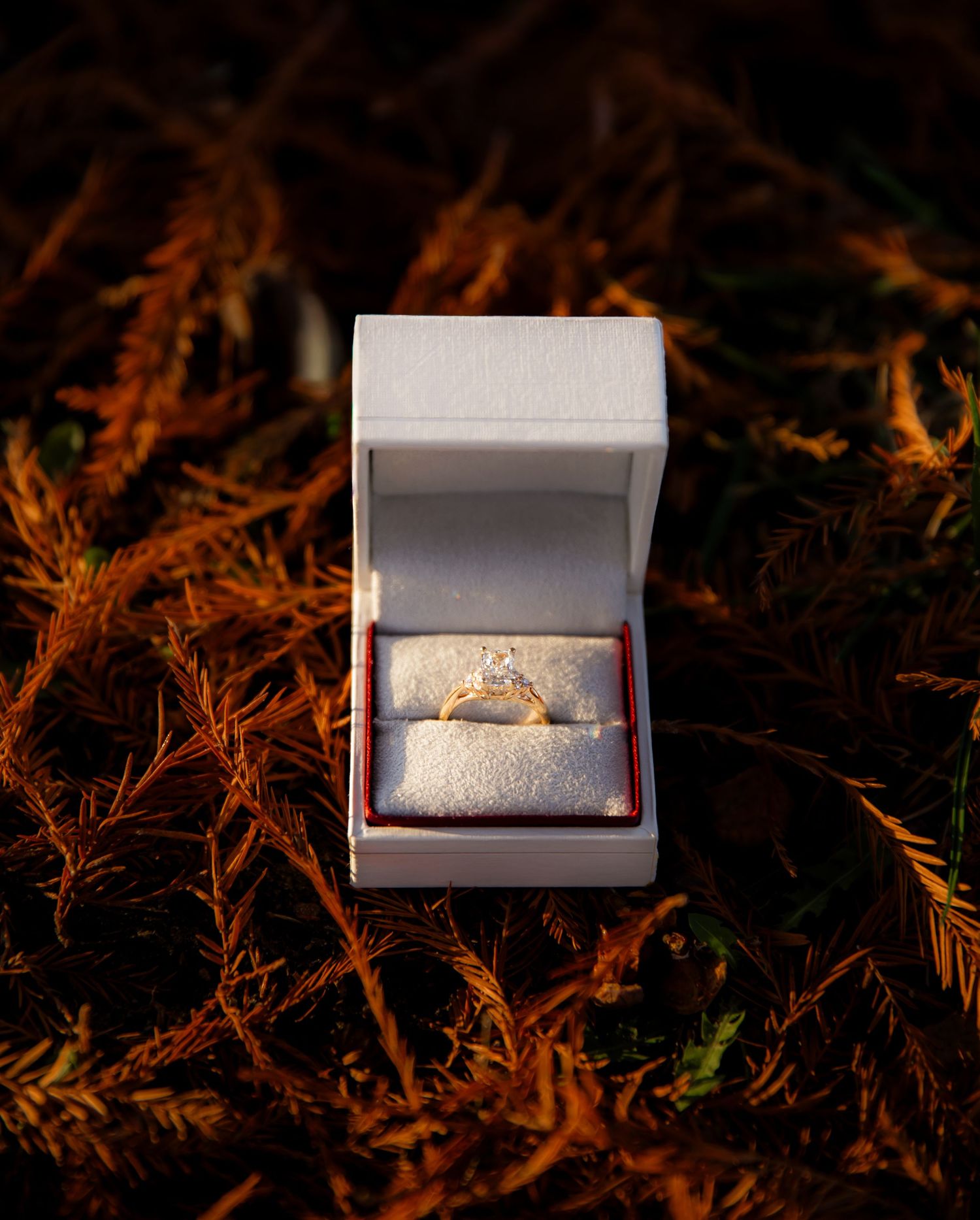 Detail shot of Engagement Ring on ground