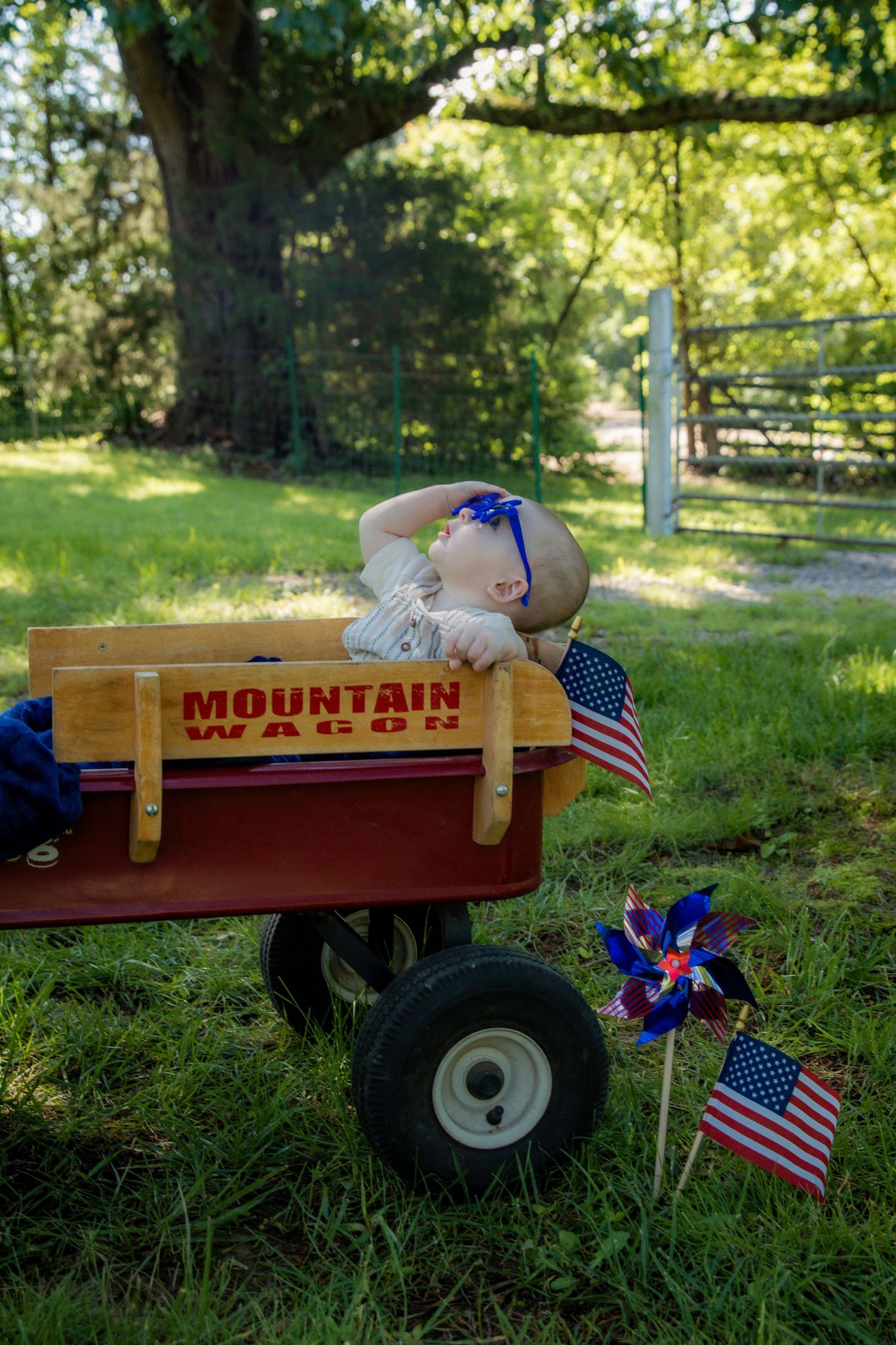 Mini Session 4th of July
