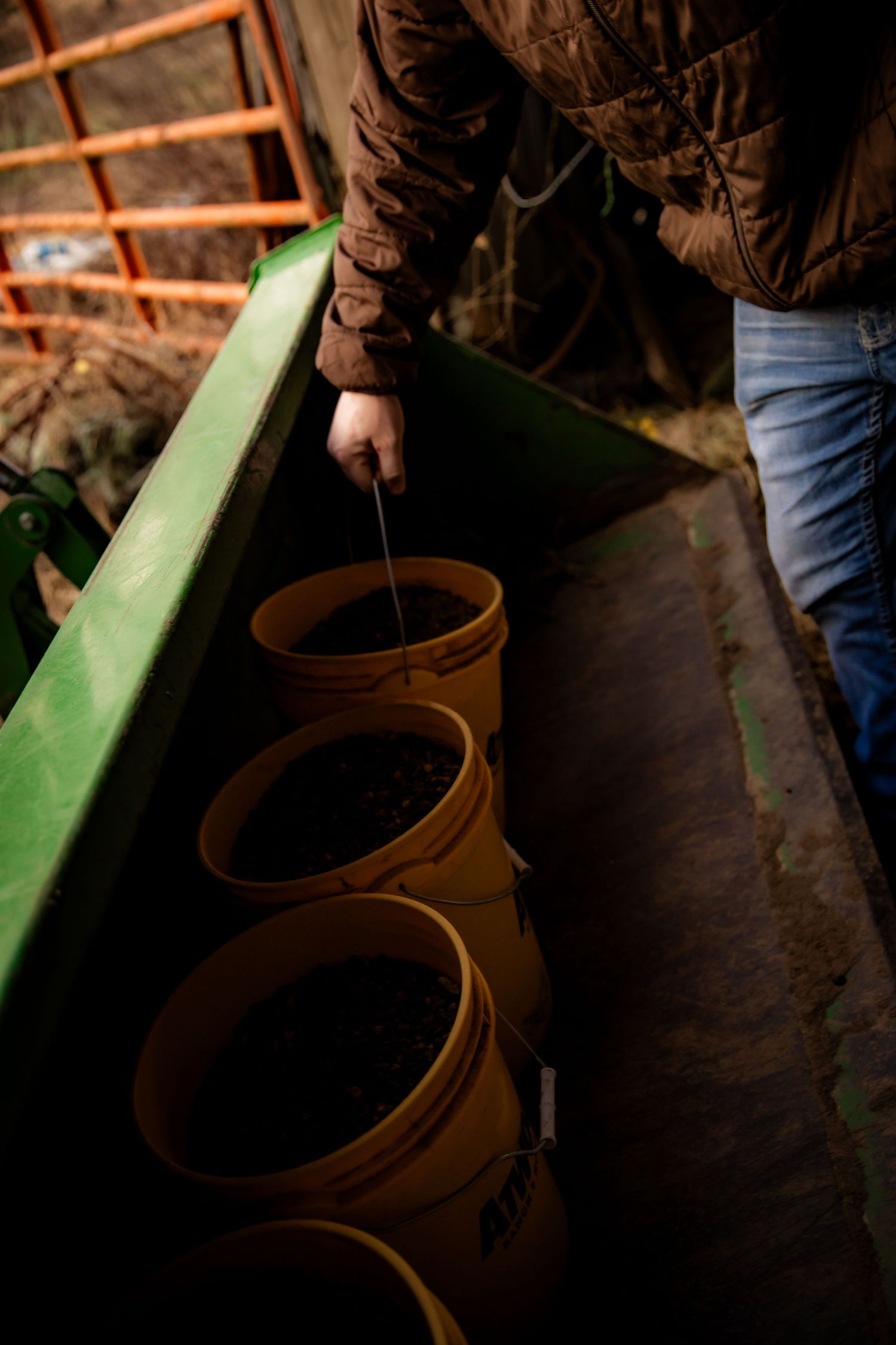 Boy loading feed
