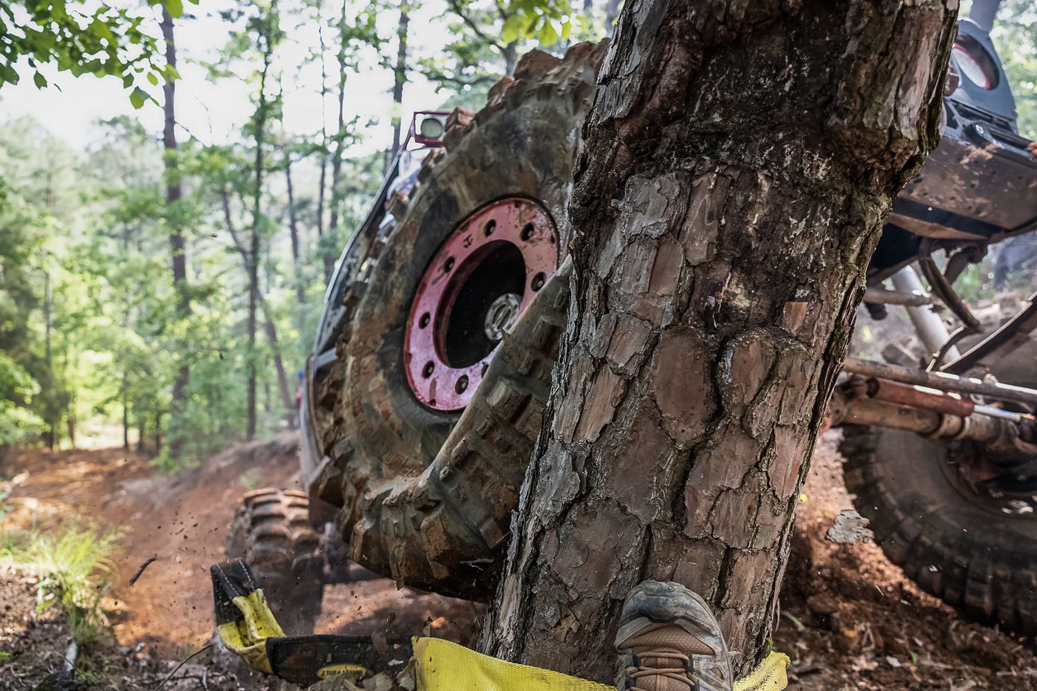 Close-up view of an off-road vehicle wheel mounted against a tree trunk on a dirt trail in the forest.