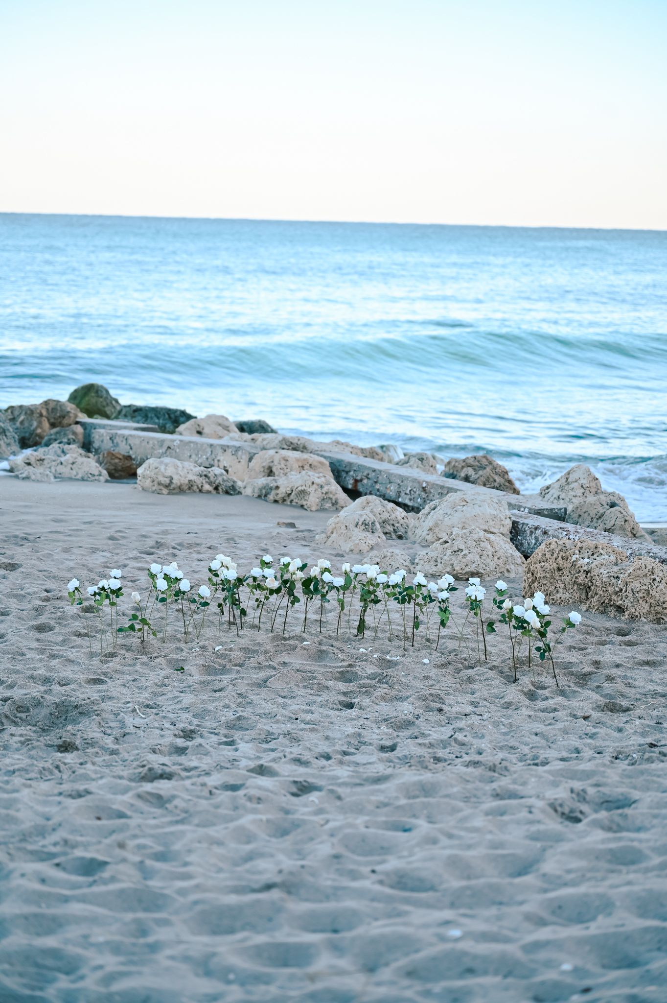 White flowers arranged in a line on sandy beach with ocean waves and rocks in background.