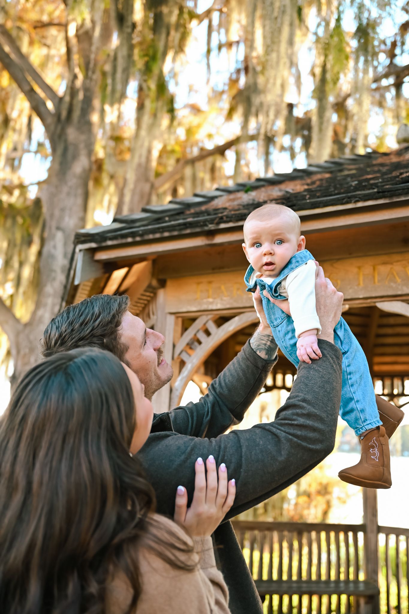 A mother plays with her baby by lifting them up in a series of joyful shots.