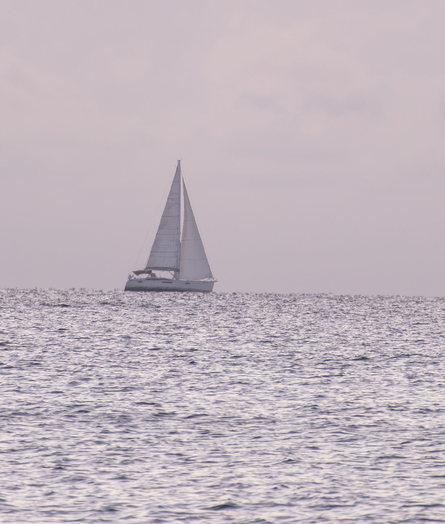 Sailboats on a misty horizon during sunset creating a serene seascape.