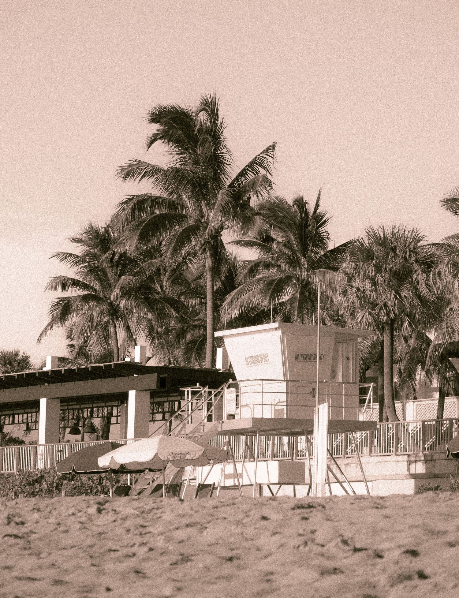 Vintage-style beachfront scene with palm trees and modern buildings in sepia tones.