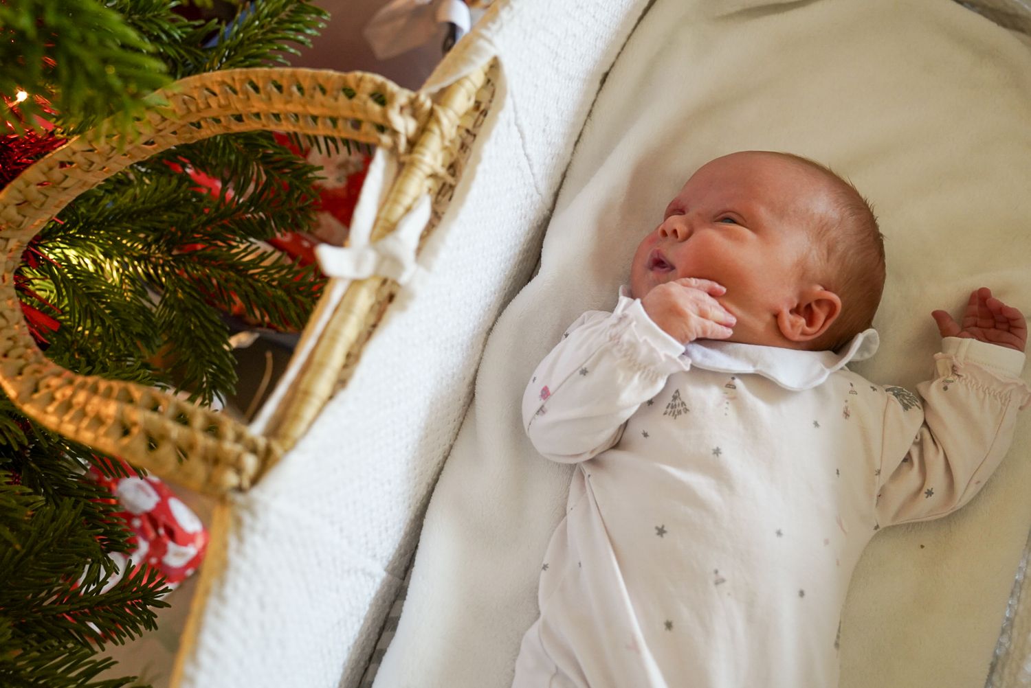 Newborn