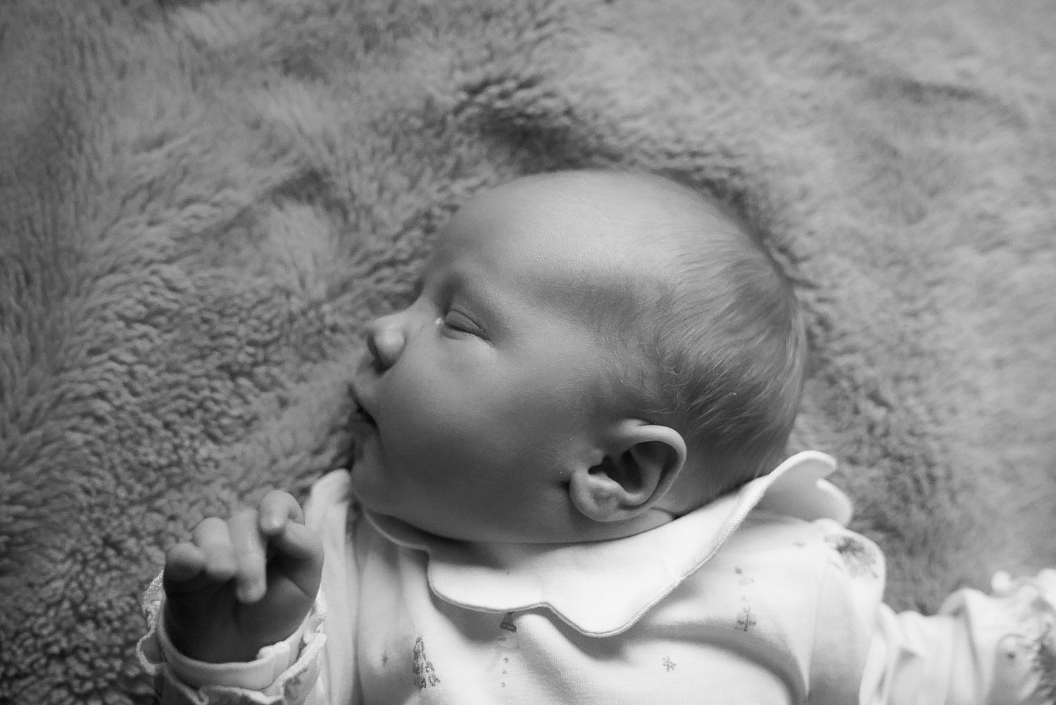 Newborn