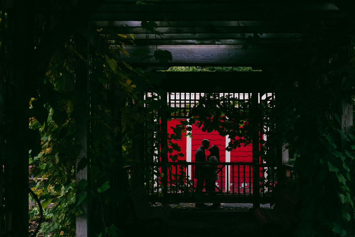 Dark tunnel framing a red Japanese torii gate surrounded by greenery.