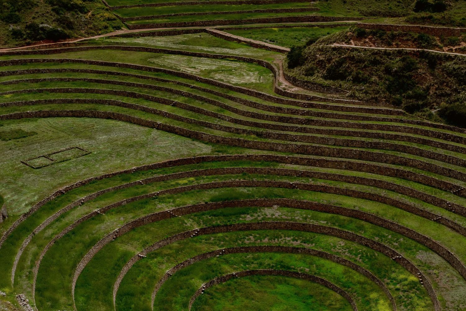 Ancient terraced agricultural fields curve around a green hillside in Peru's Sacred Valley.