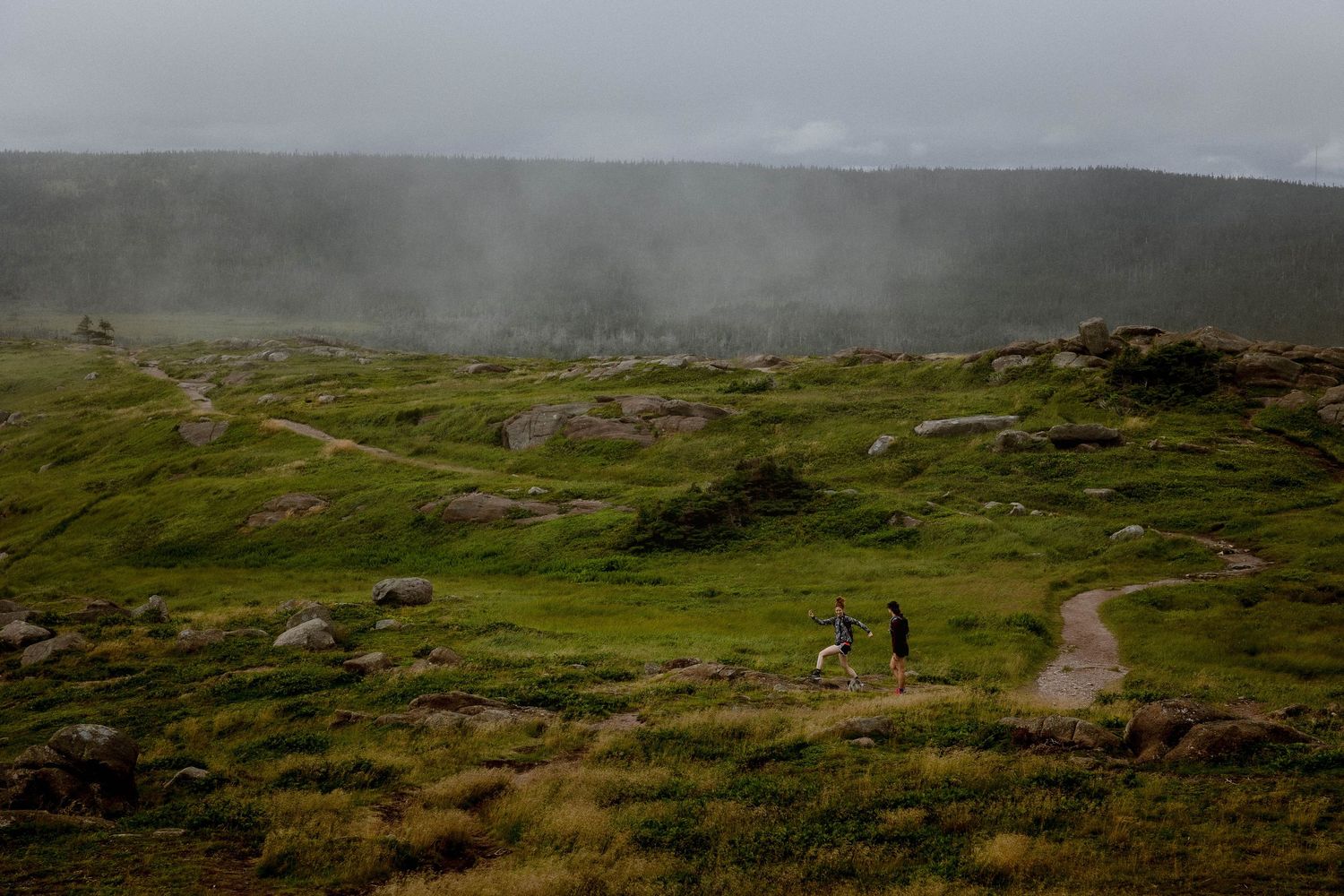 Panoramic view of misty green hills with walking trail winding through landscape.