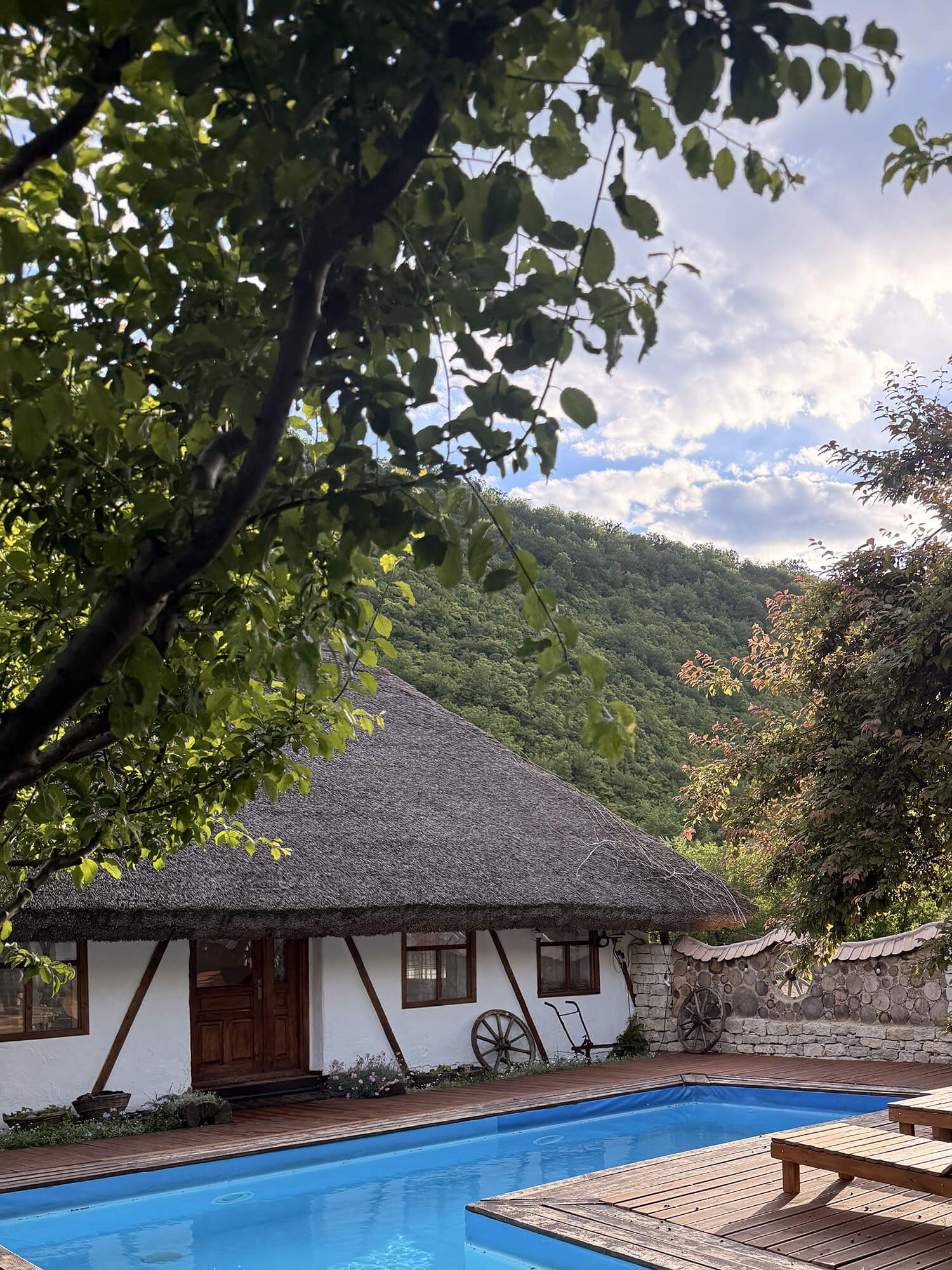Charming thatched-roof cottage with swimming pool surrounded by trees and scenic mountain views.