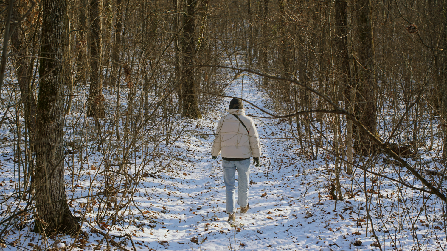 A snowy forest path winds through bare winter trees with patches of sunlight filtering through the branches.