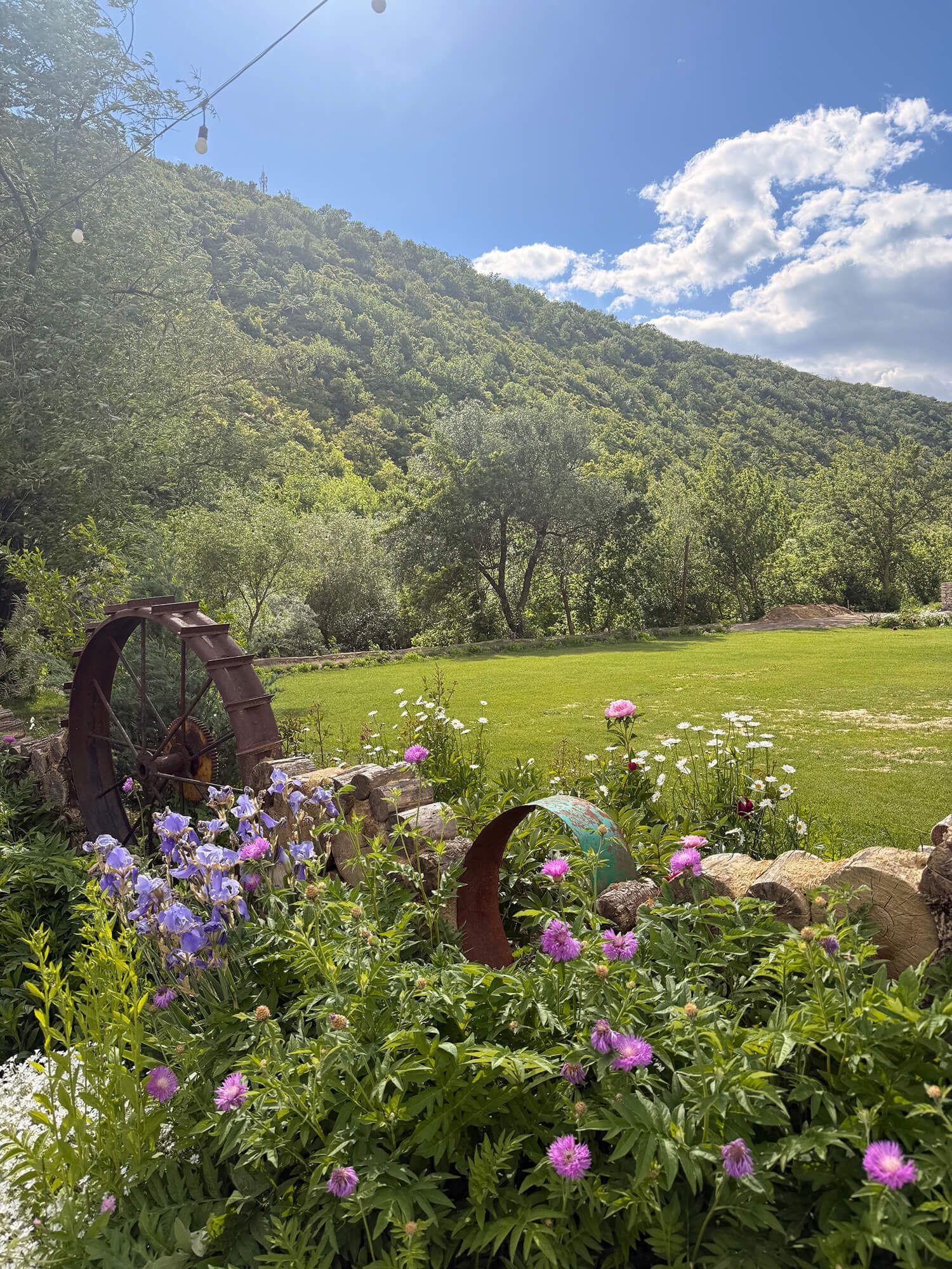 Lush garden with pink wildflowers, rustic metal wheel decor, green lawn, and tree-covered mountain under a blue sky.