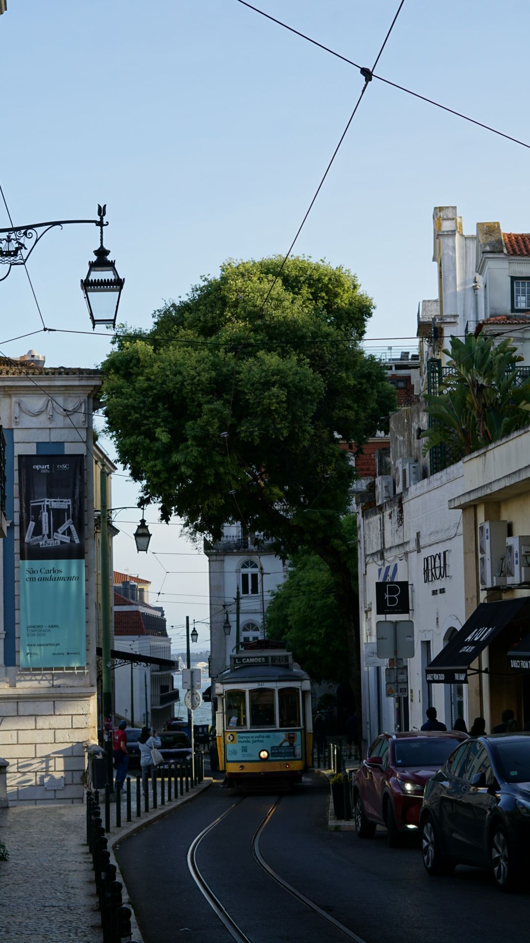 Urban street scene with tram tracks and historic buildings lined with trees in a European city.