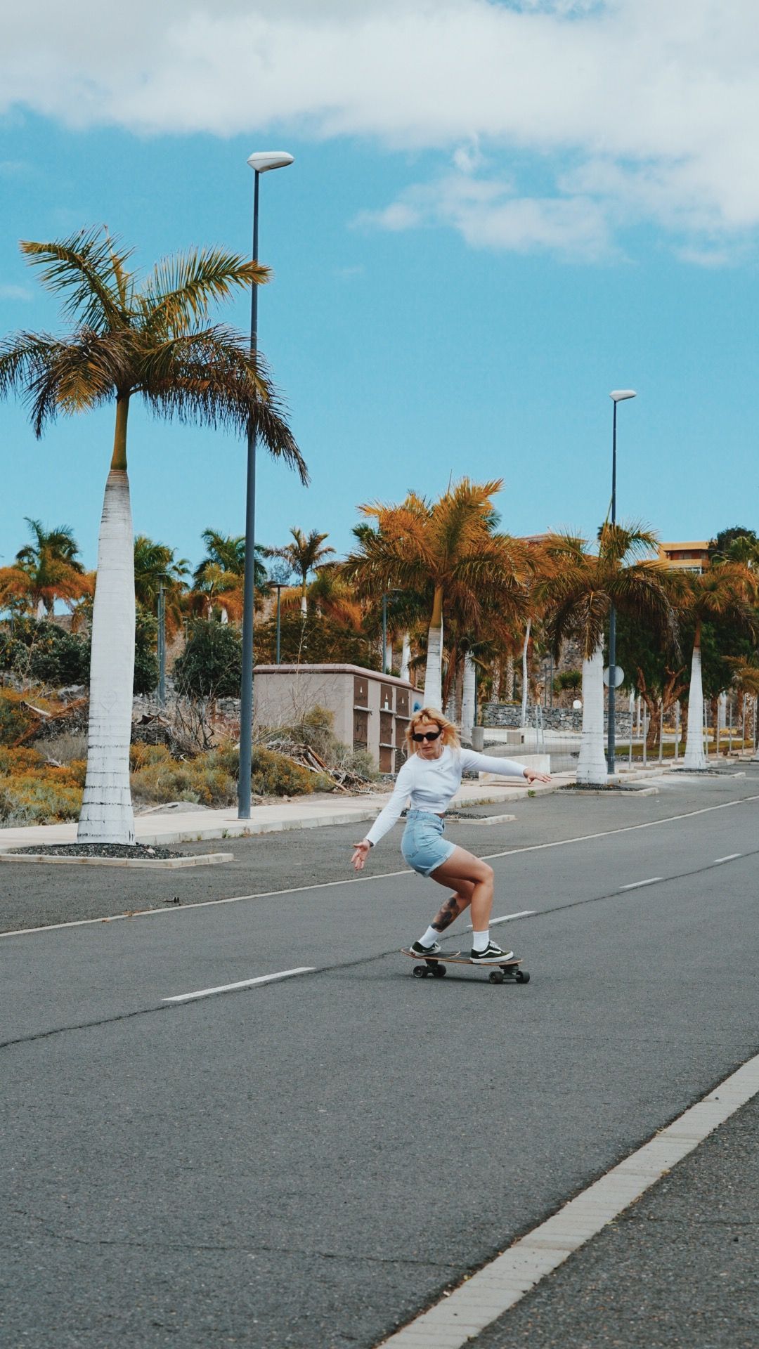 Palm tree-lined street with a skateboarder cruising down the empty road.