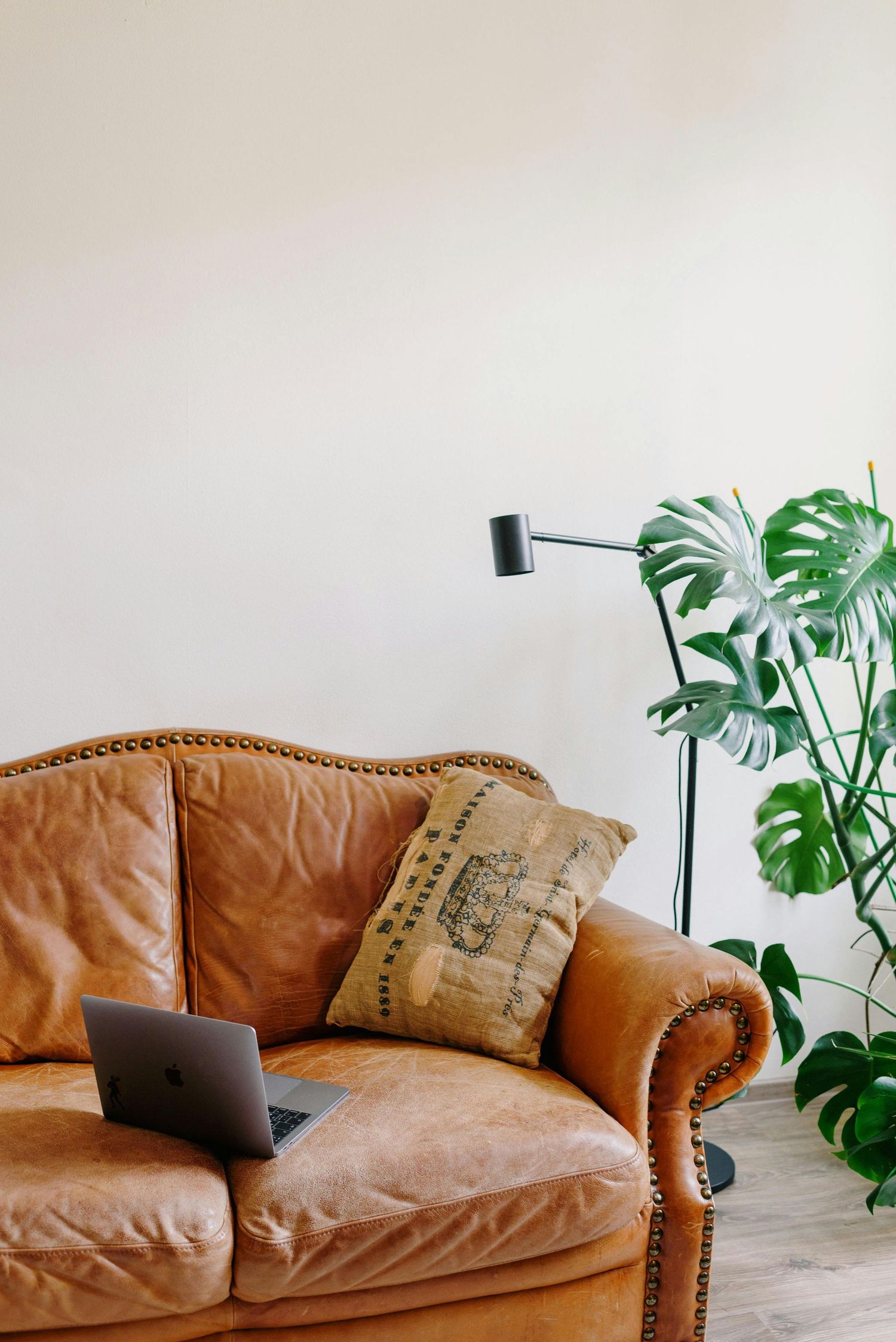 Brown leather couch with decorative pillows and monstera plants in a minimalist room setting.