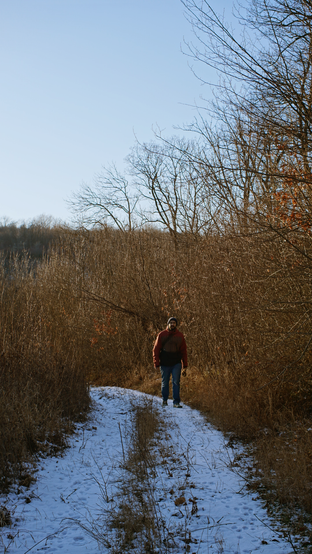 Snowy hiking trail winds through bare winter trees under a bright blue sky.