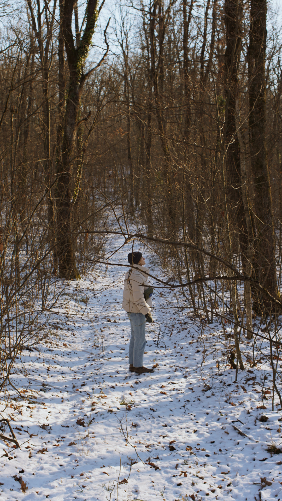 Snow covered forest trail with bare trees and a birdhouse mounted on a pole in winter.
