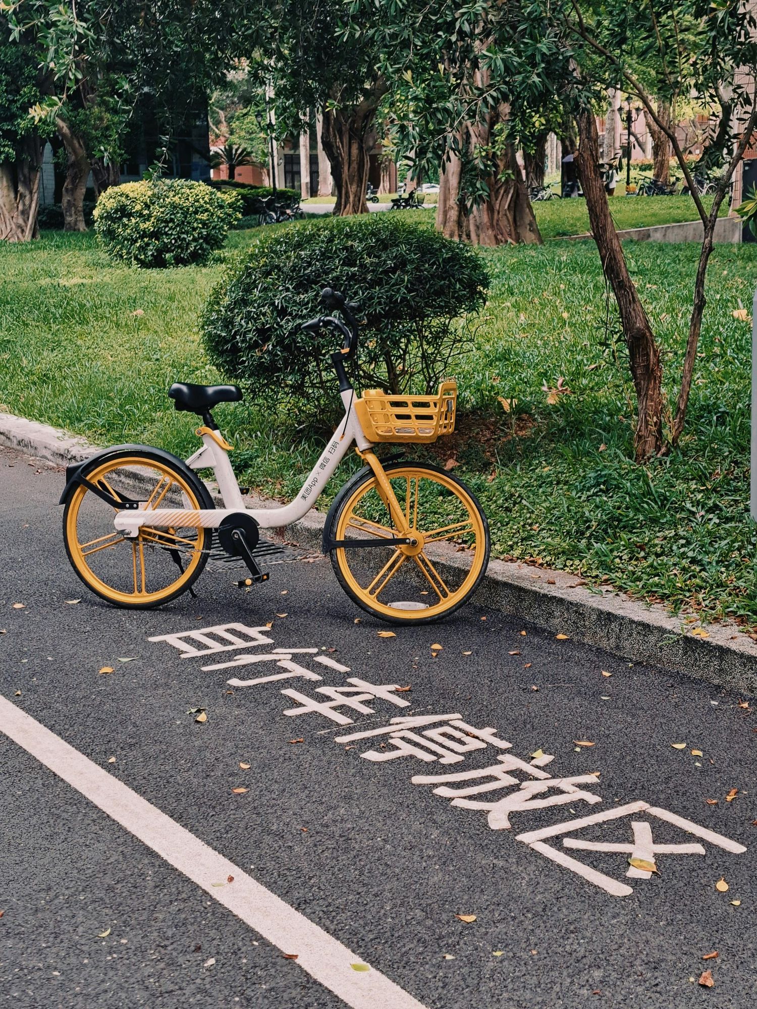 Yellow shared bicycle parked on asphalt path with Chinese characters painted on ground.