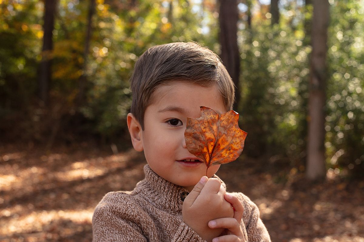 A young boy in a cozy sweater holds an autumn leaf over his eye in a sunlit forest.