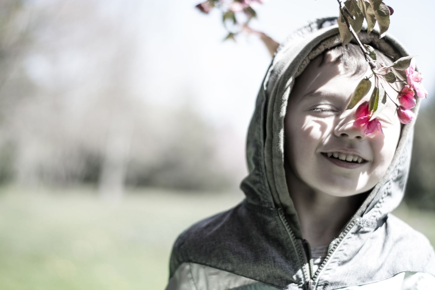 Boy smelling tree blossom