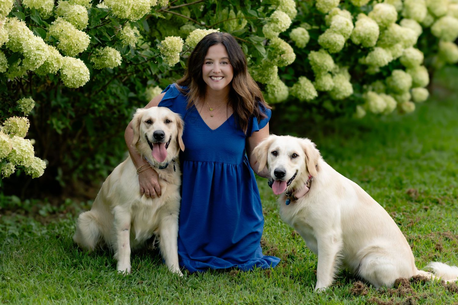 Golden retriever puppies lay in grass near person wearing blue dress on sunny summer day.