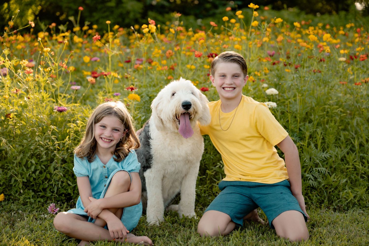 Family and their white dog pose together in field of yellow wildflowers at sunset.