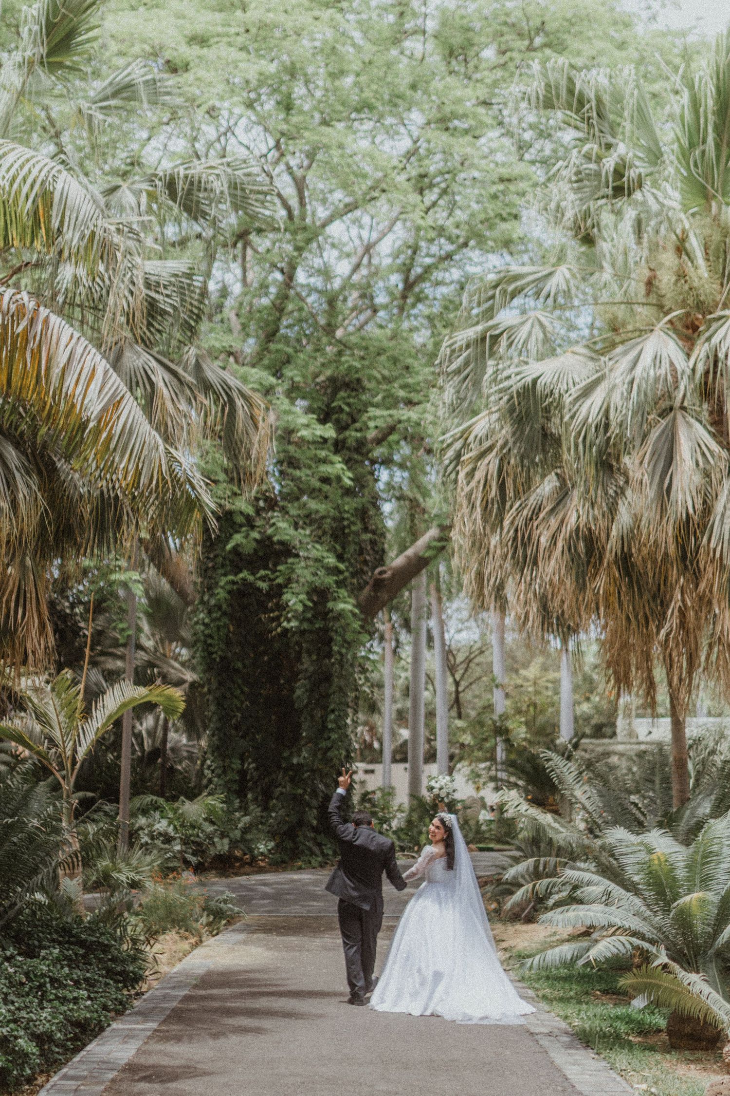 Wedding couple walks down palm-lined garden path in tropical setting.