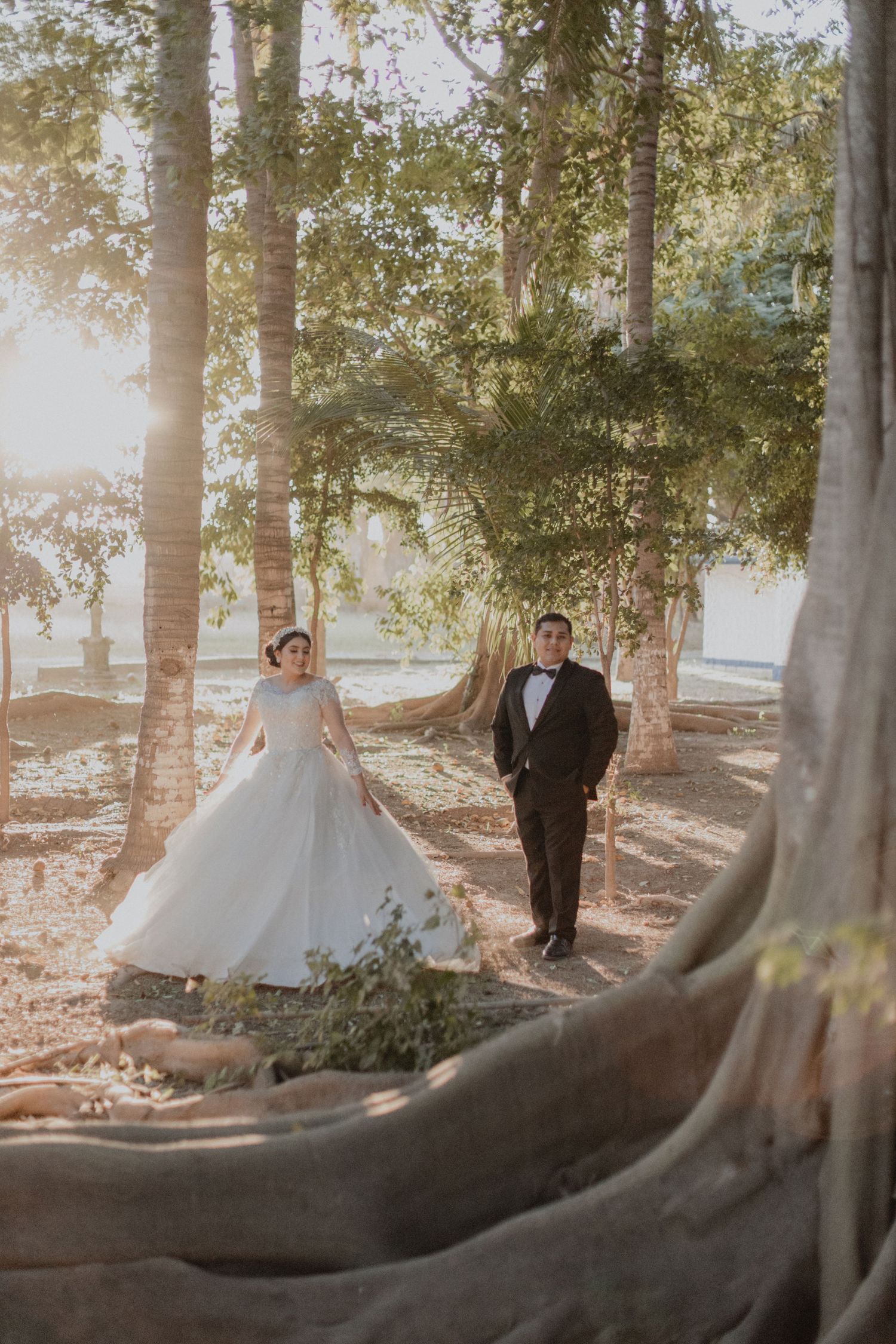 A wedding couple stands among majestic trees during golden hour.