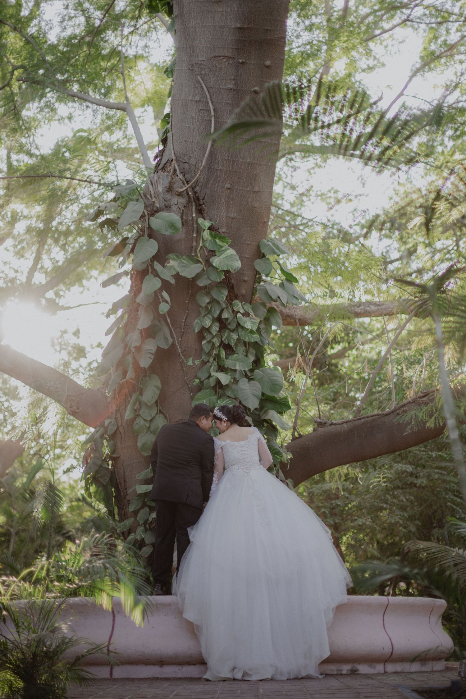 A romantic wedding photo under a majestic tree with climbing vines.