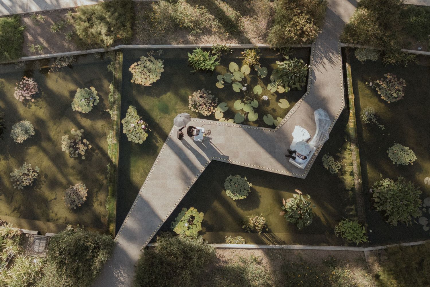 Birds-eye view of winding pathways through a lush garden landscape.
