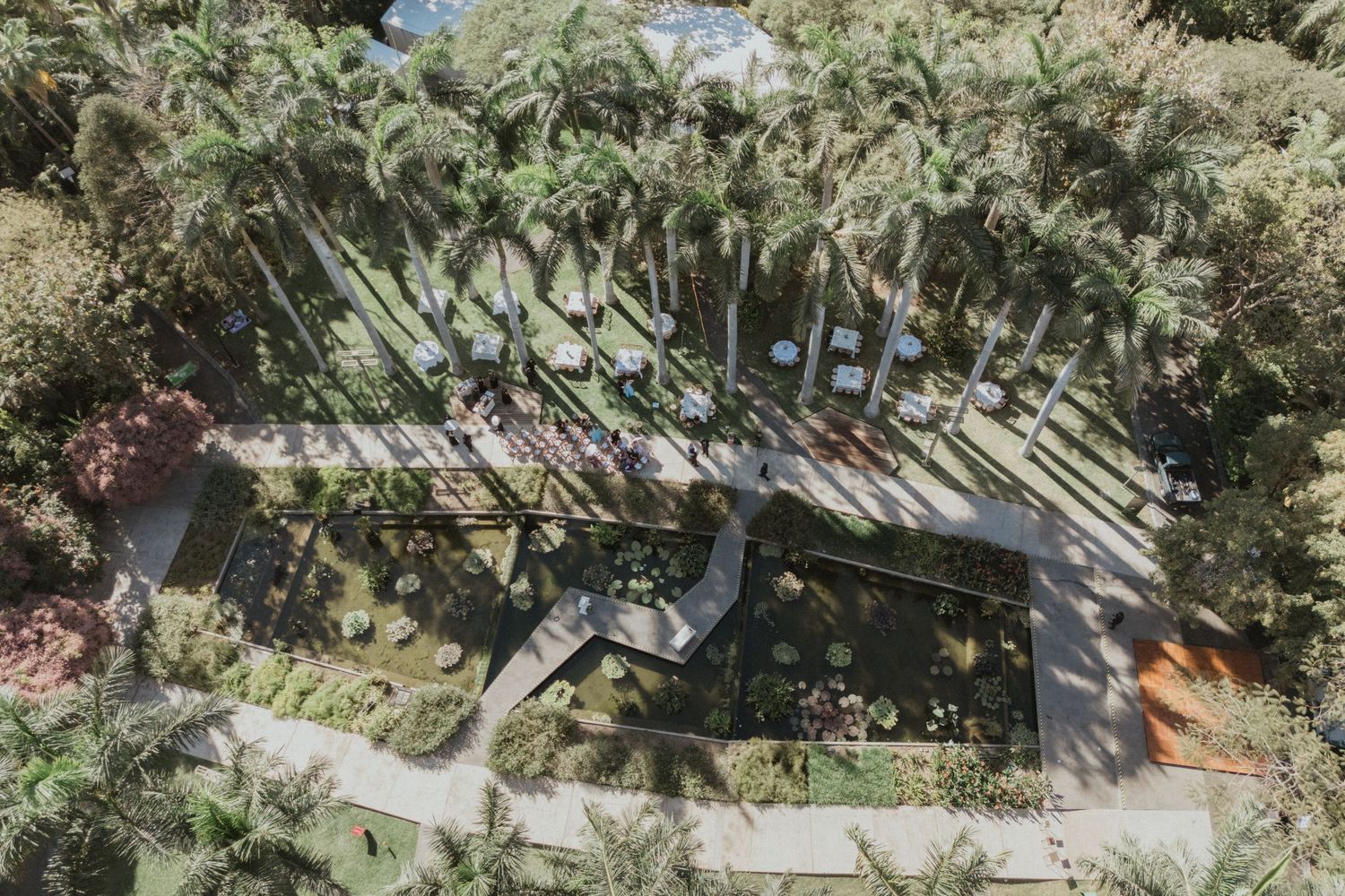 Sun-dappled green garden path lined with lush tropical foliage and trees.