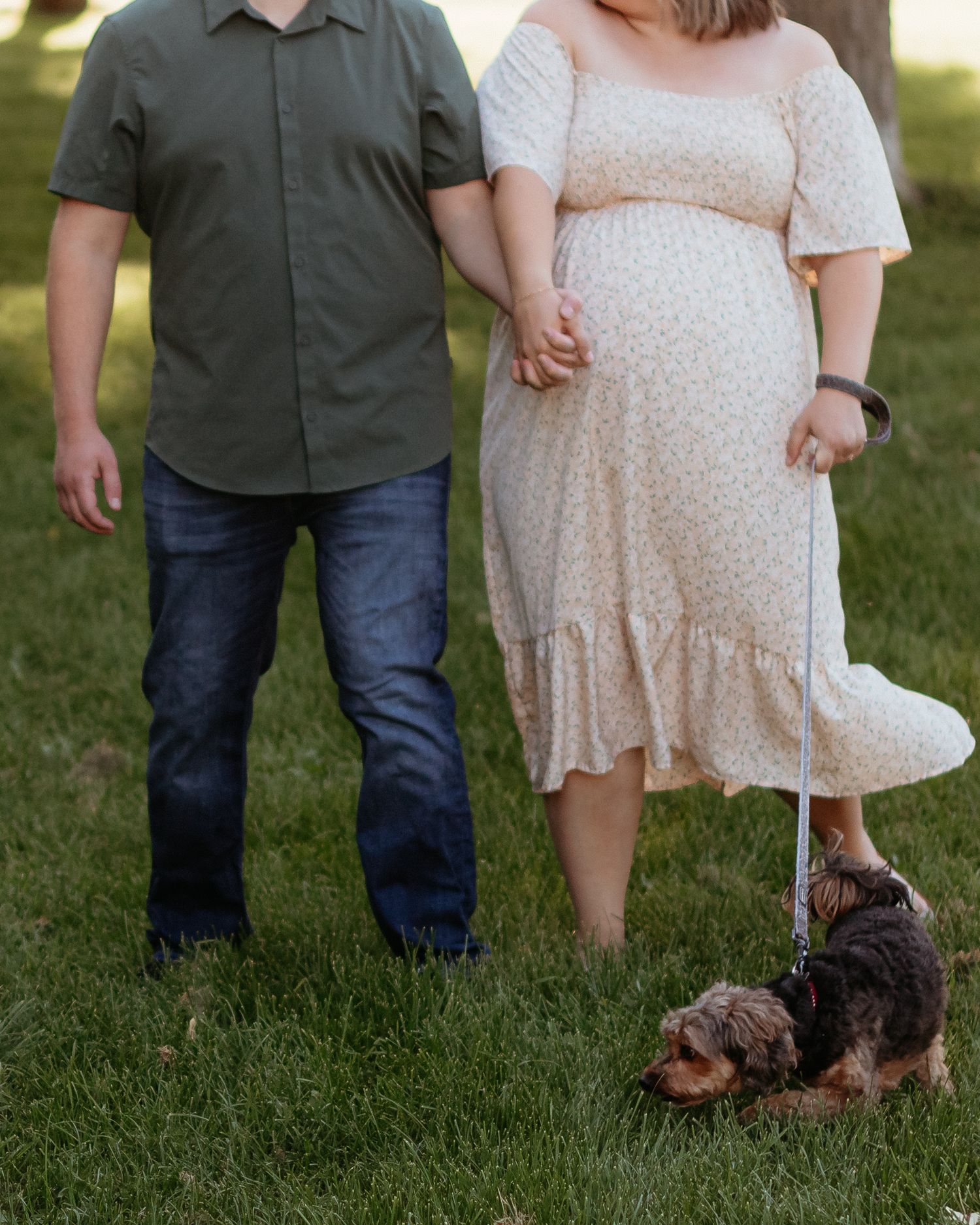 Expectant couple standing on green grass holding hands with small dog on leash.