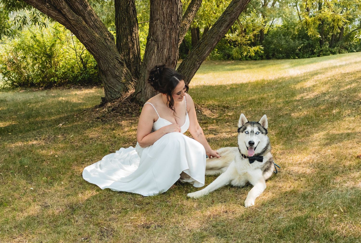 Bride in a white gown sitting on grass with a Husky dog under a large tree.