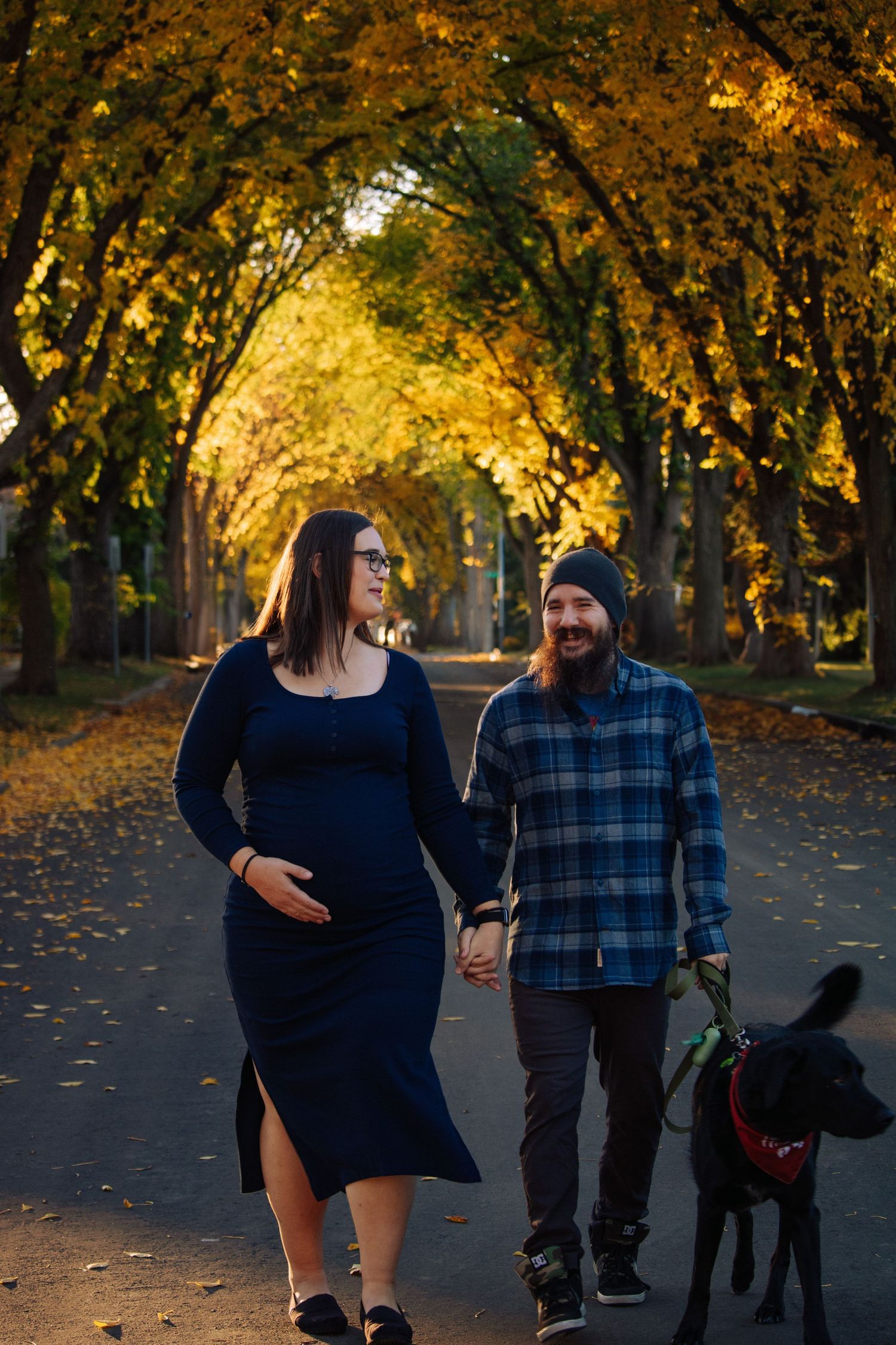 Happy expectant couple strolling hand in hand with black dog along tree-lined autumn boulevard.