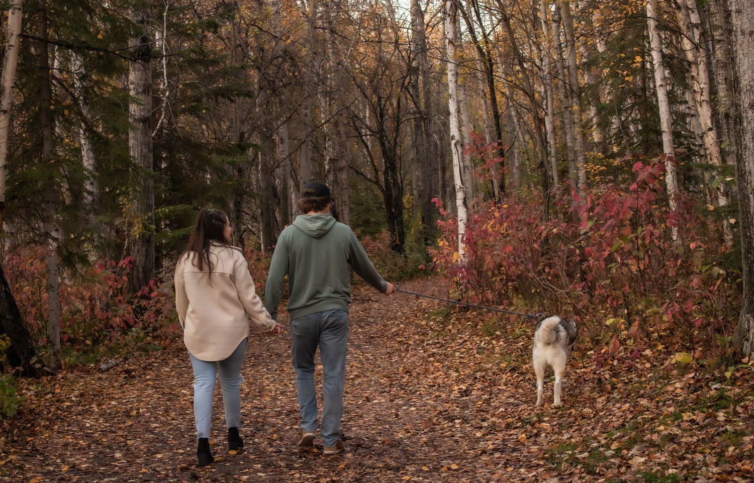 Couple holding hands walking their Husky dog through a colorful autumn forest trail.