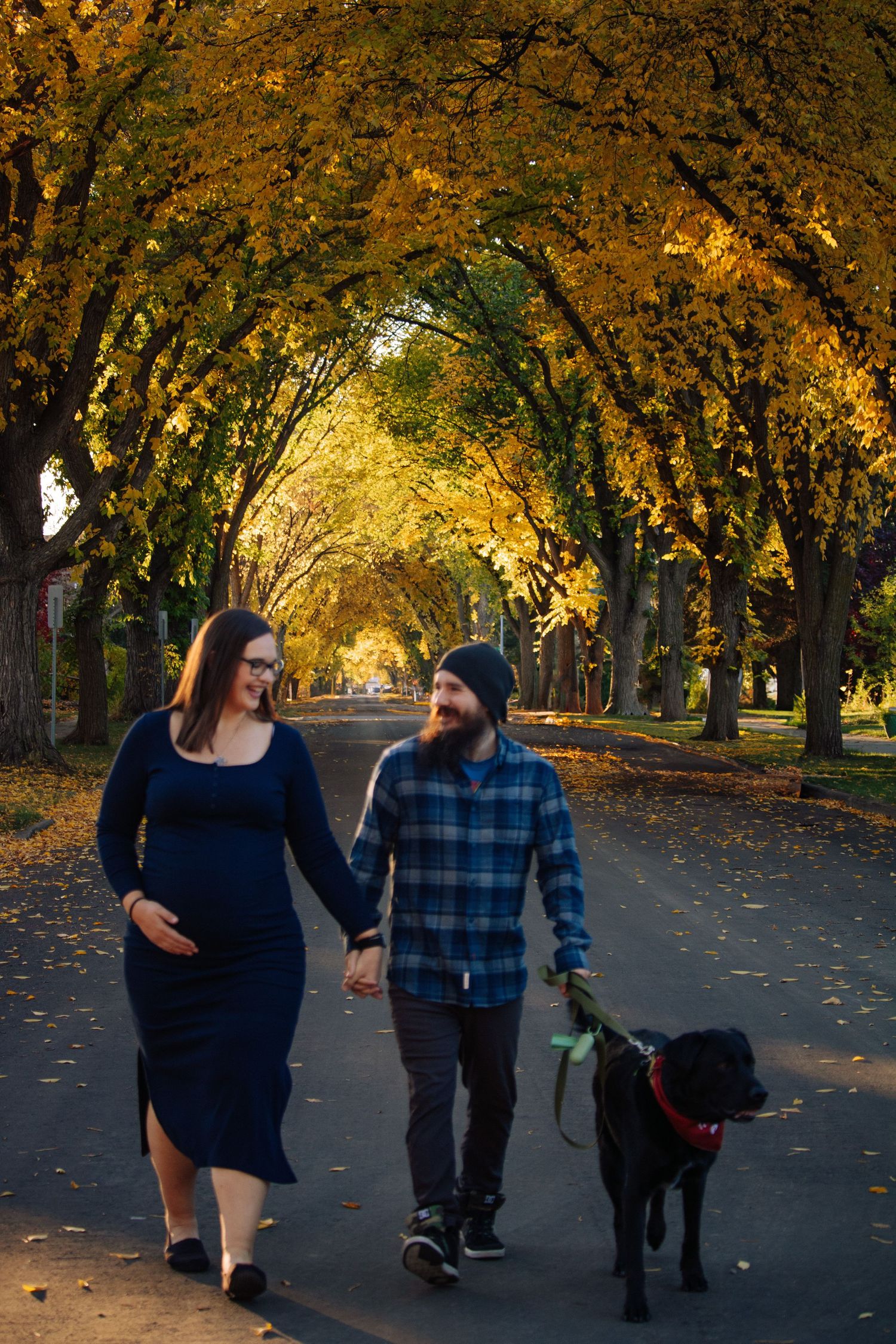 Pregnant couple holding hands walking black dog under golden autumn tree canopy on a park path.