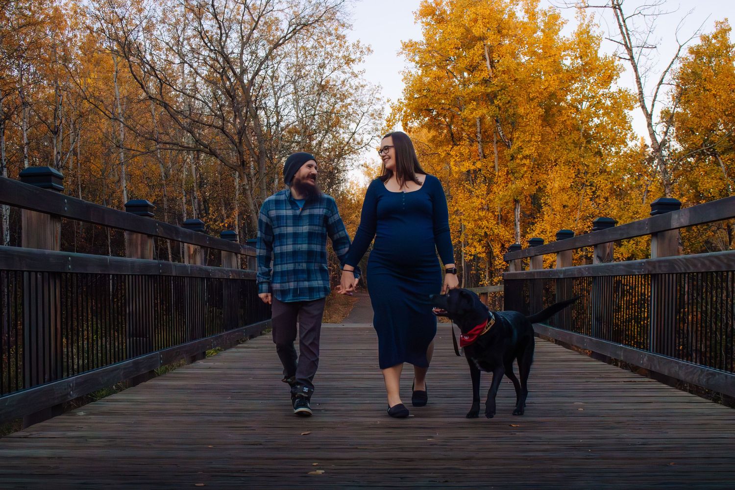 Pregnant couple walking black Labrador on wooden bridge surrounded by fall foliage.