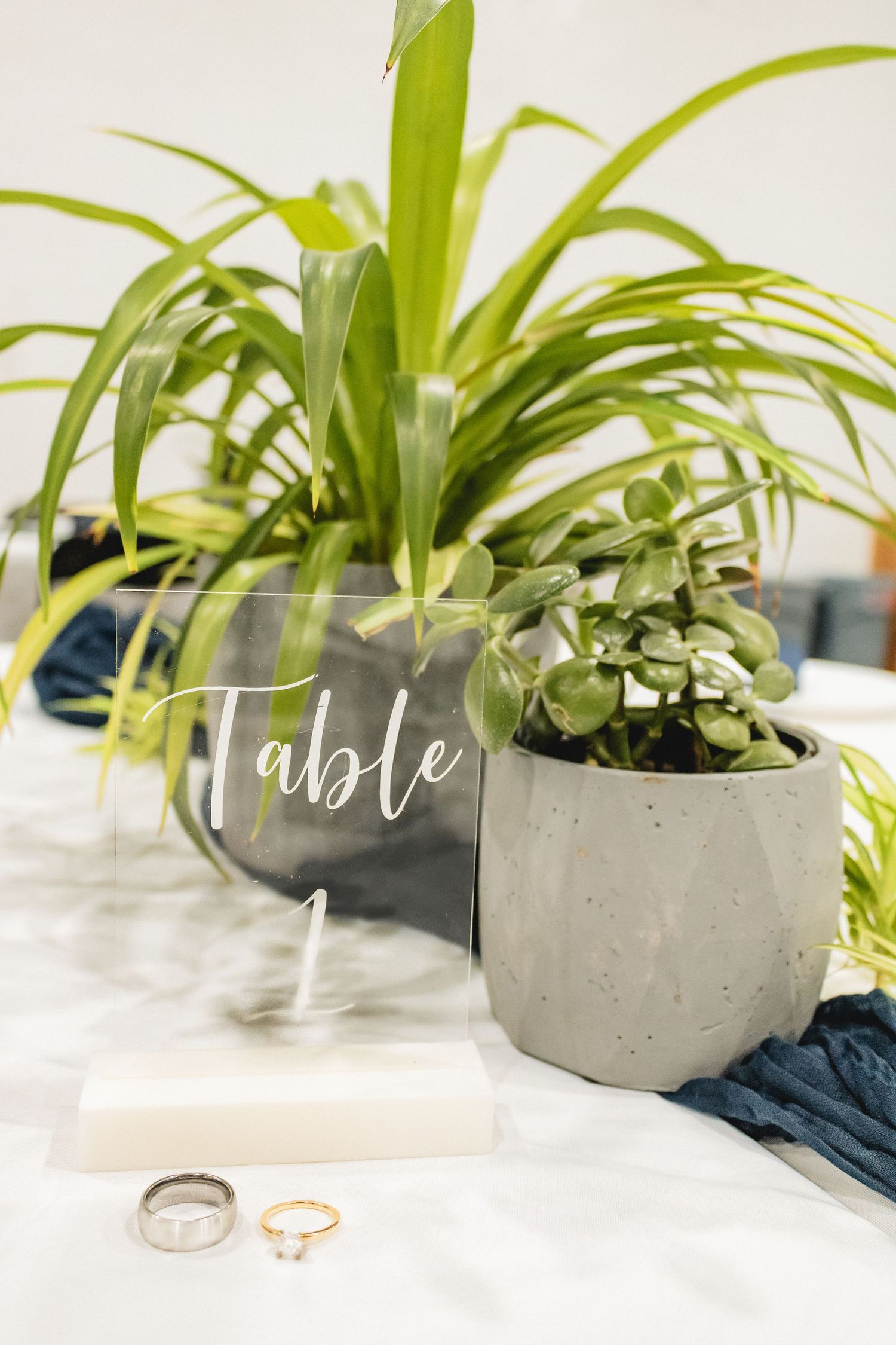 Wedding table number one sign displayed with succulent plants and two wedding rings on white tablecloth.