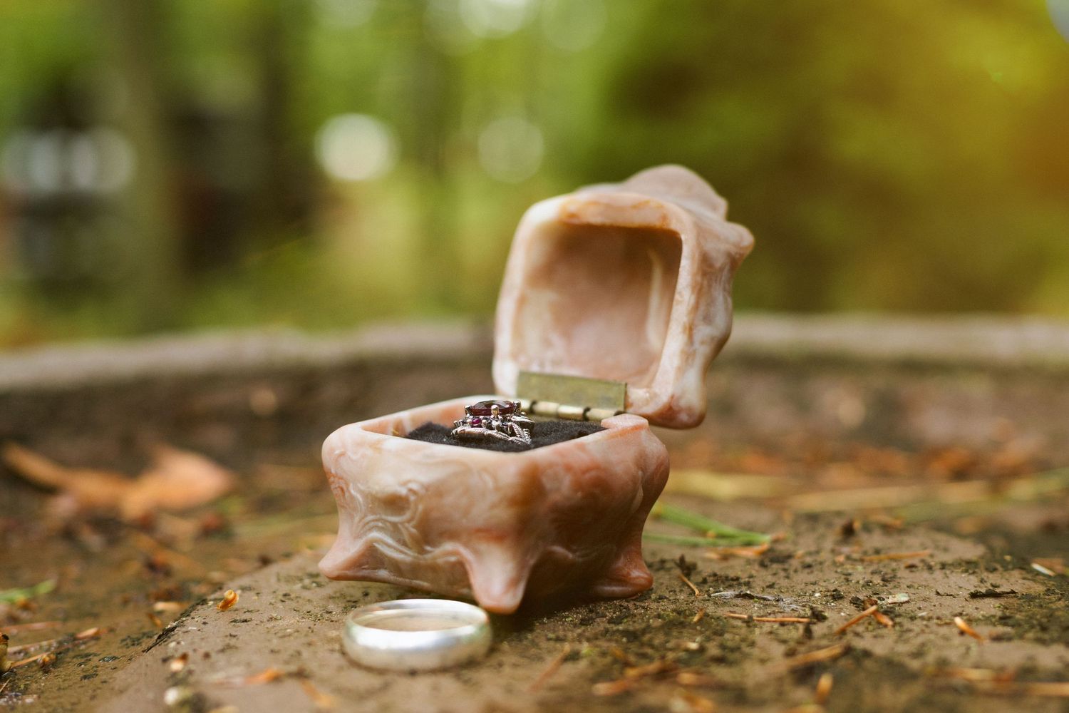 Close-up photo of wedding rings displayed on natural mossy surface with soft outdoor bokeh background.