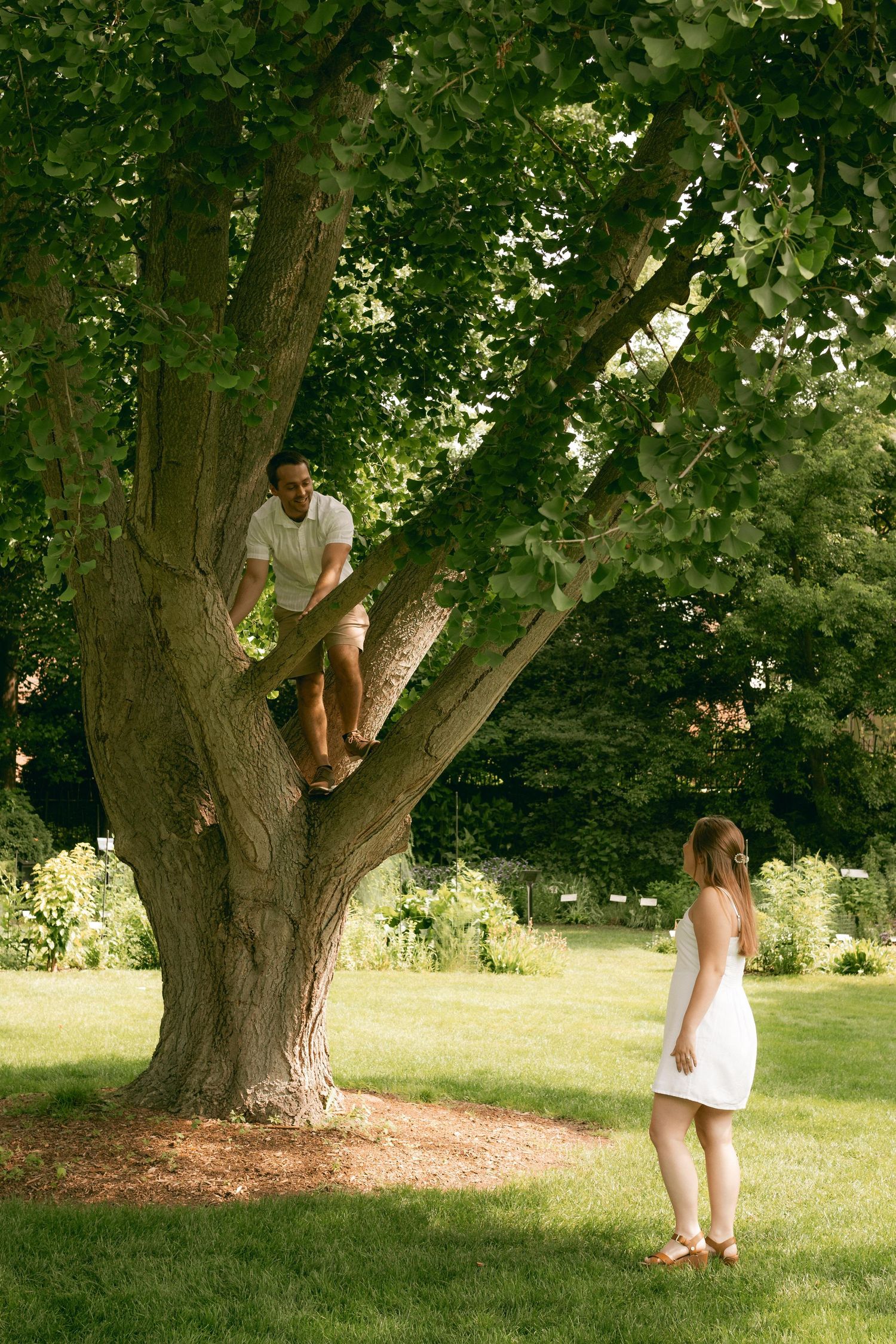 A series of photos showing people enjoying a summer day around a large tree in a grassy park setting.