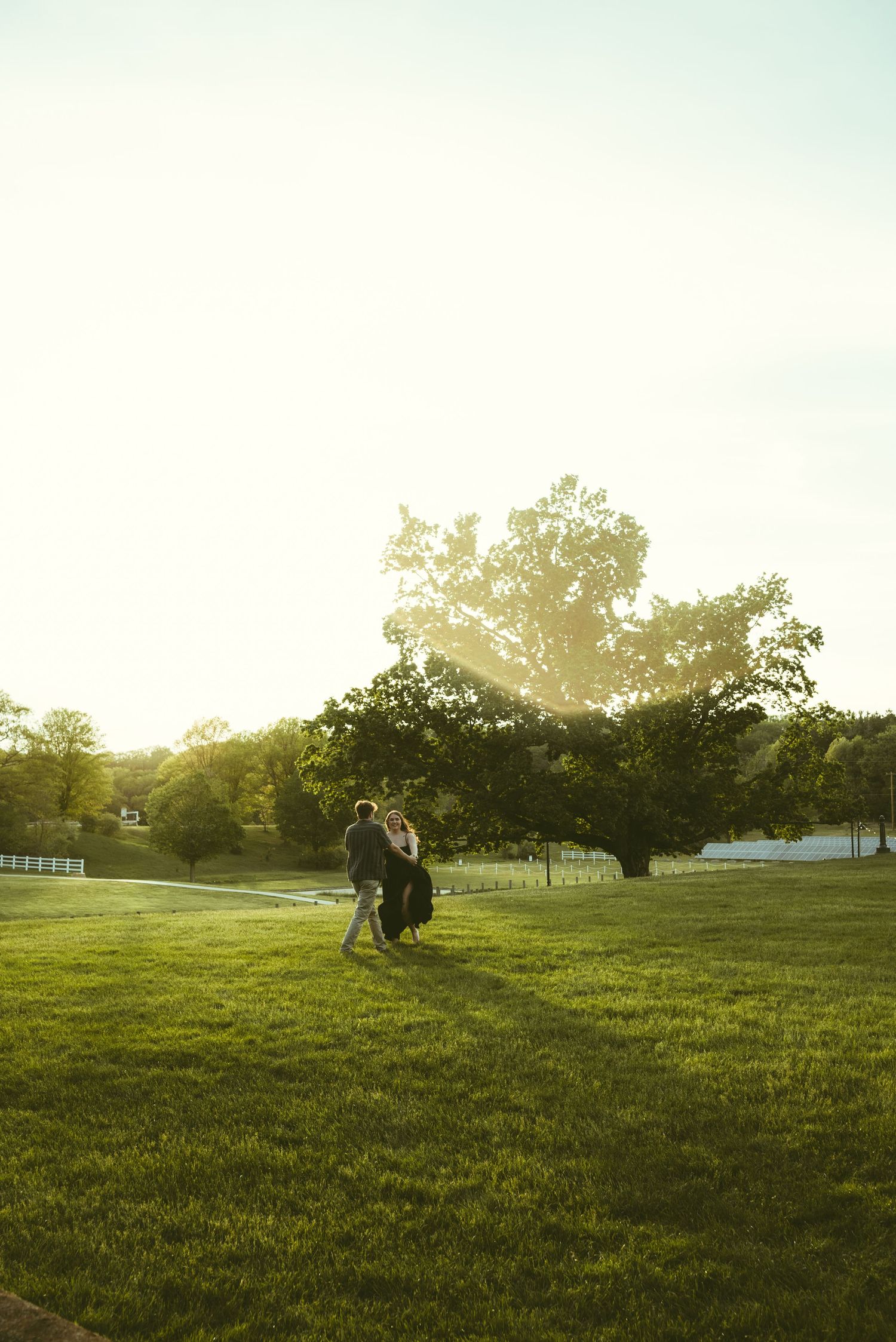 Couple embracing at golden hour on lush green lawn with sunlit trees in background.